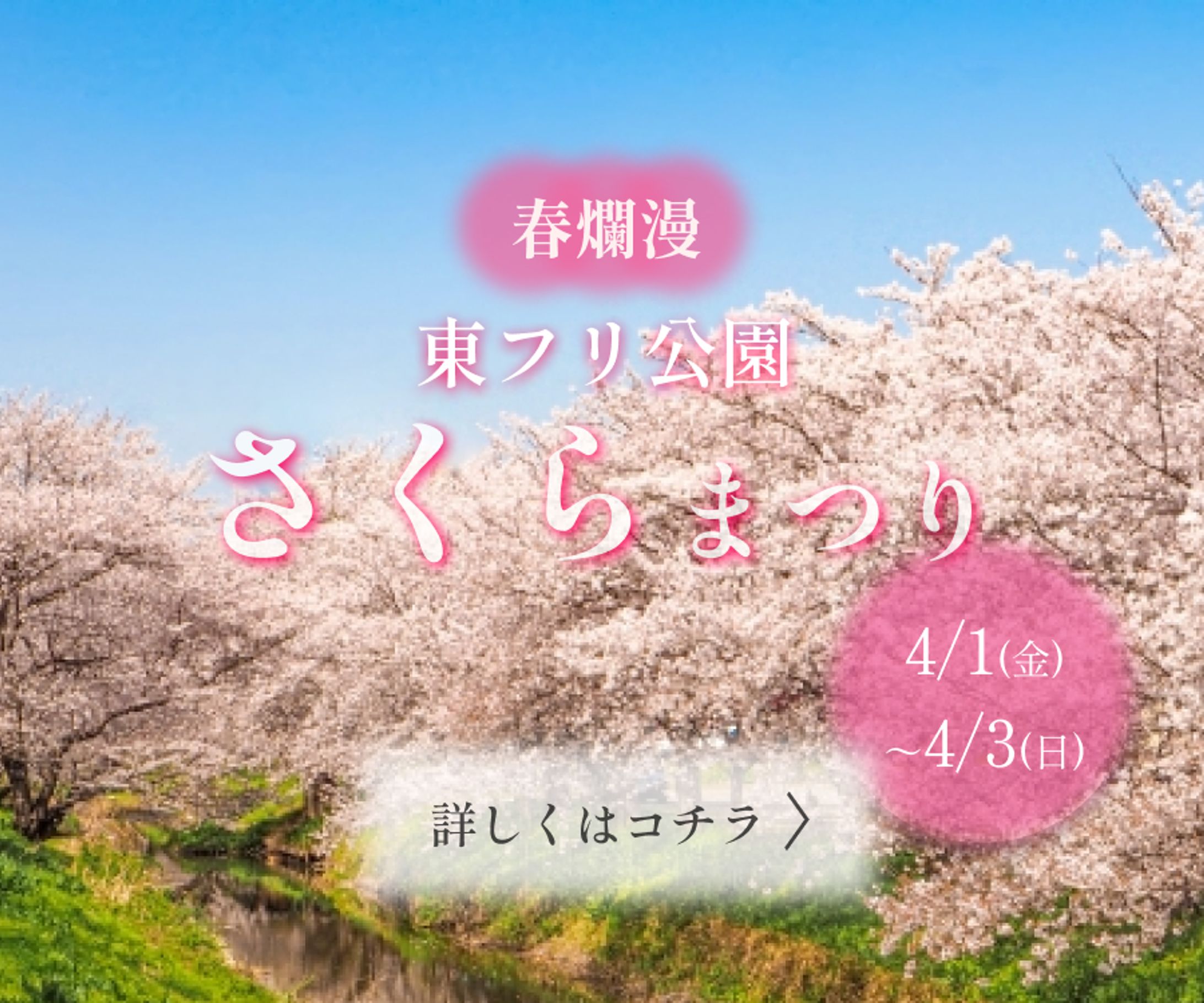 さくらまつり告知バナー-1