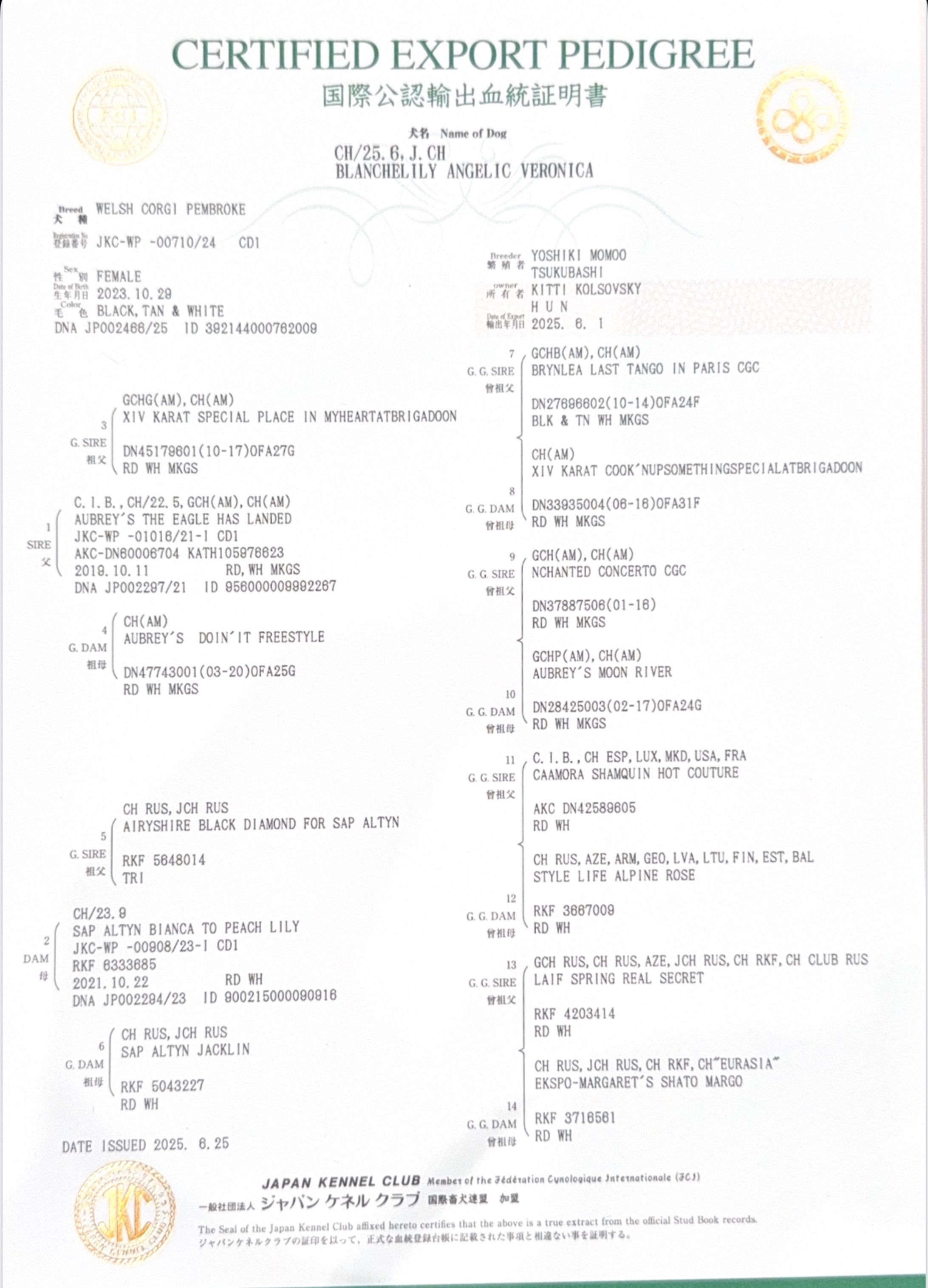 pedigree -1
