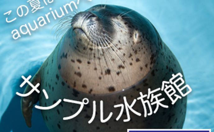 web、動物イラスト