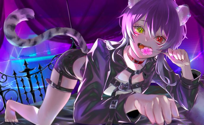 イラストレーター, イラストレーター、一枚絵