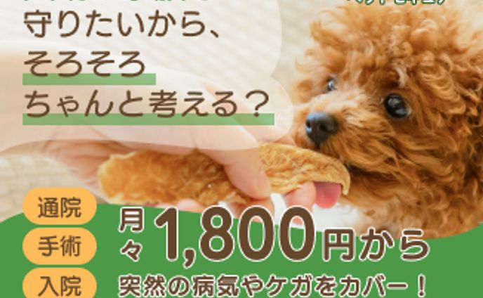 ペット保険の広告バナー(架空)