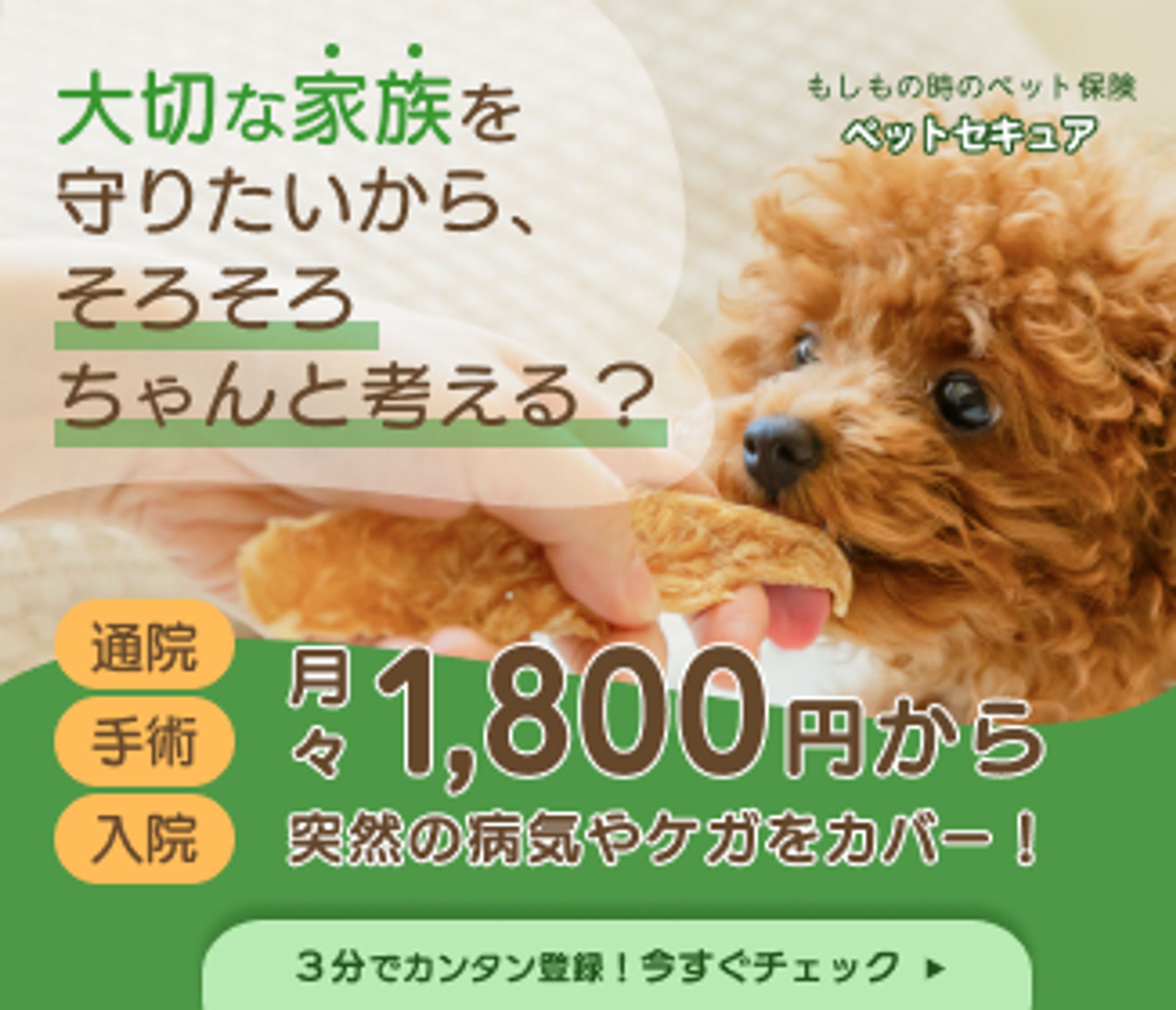 ペット保険の広告バナー(架空)-1