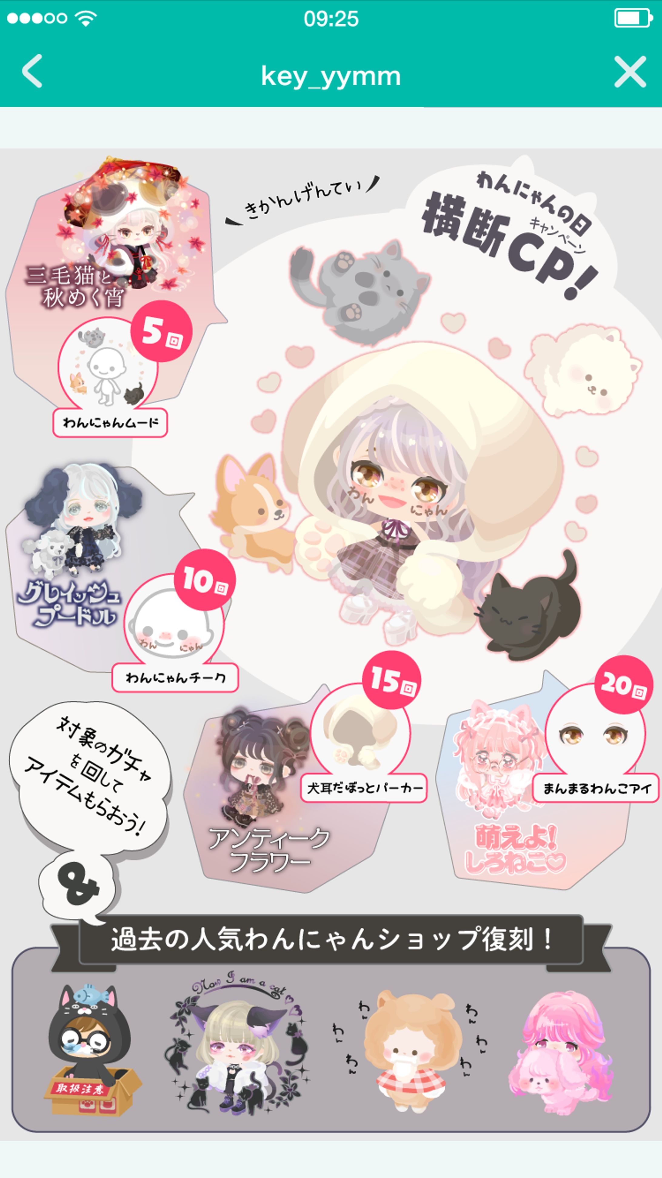 わんにゃんの日キャンペーン-1