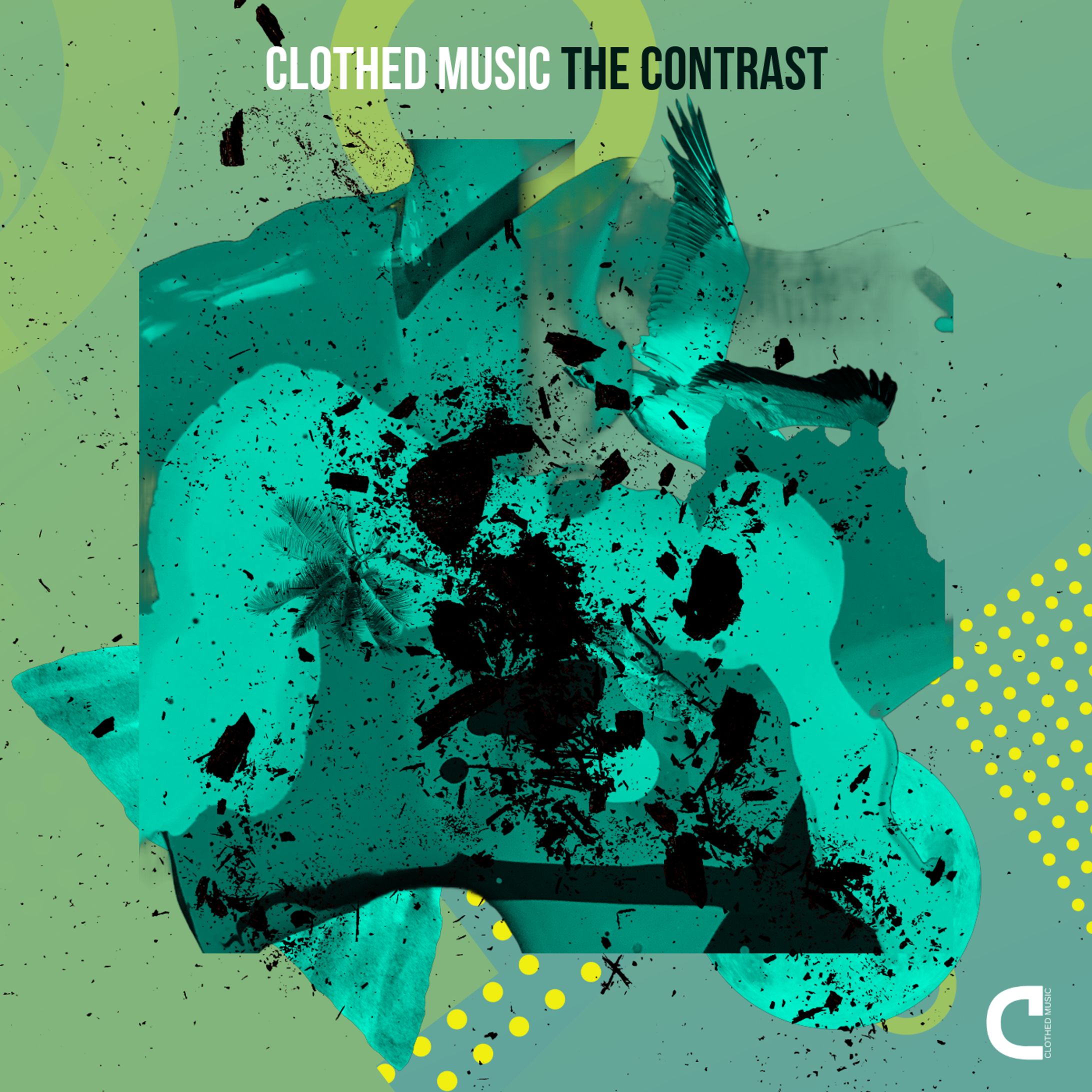 Clothed Music - The Contrast-1