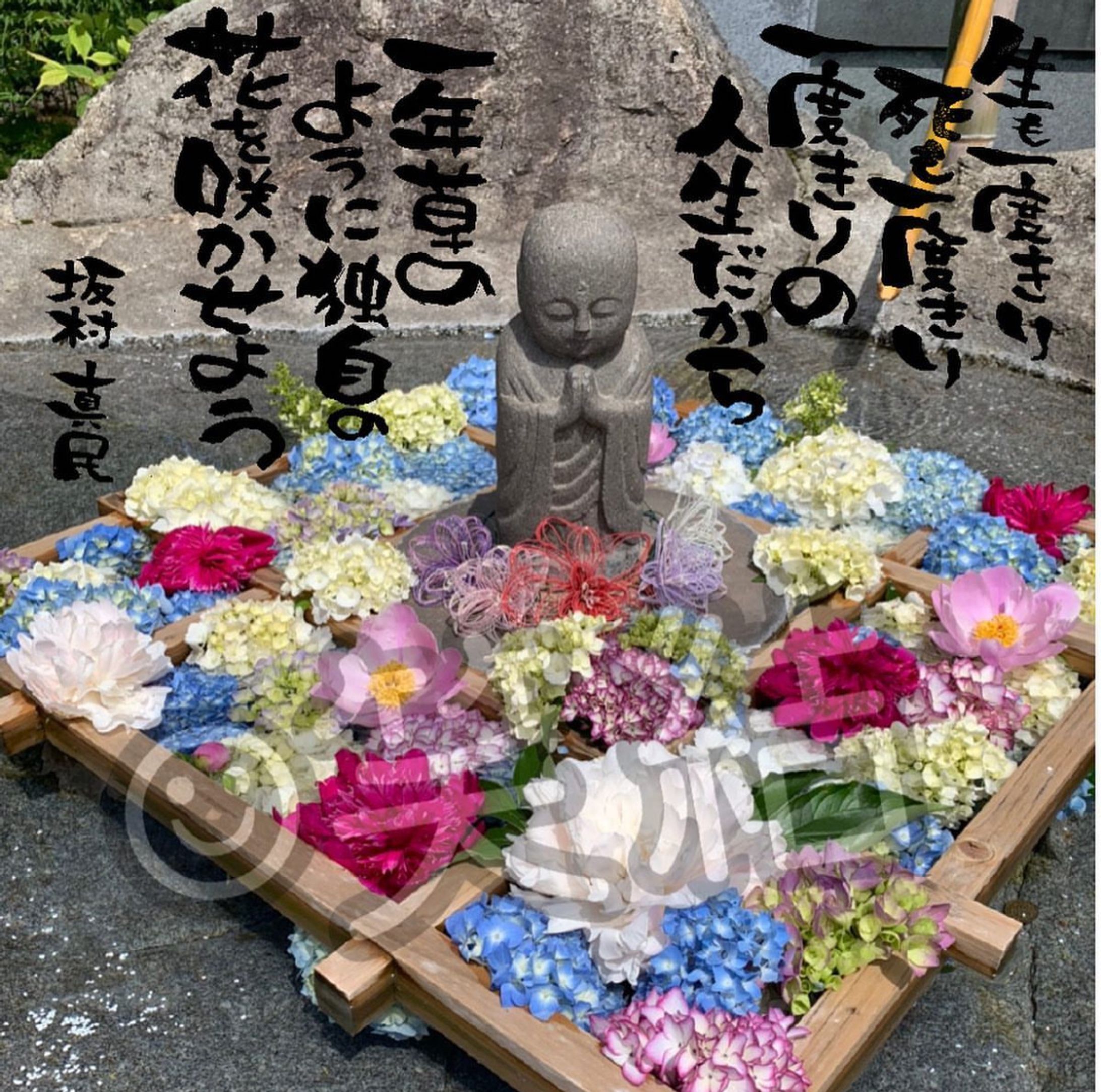写真×筆文字-1