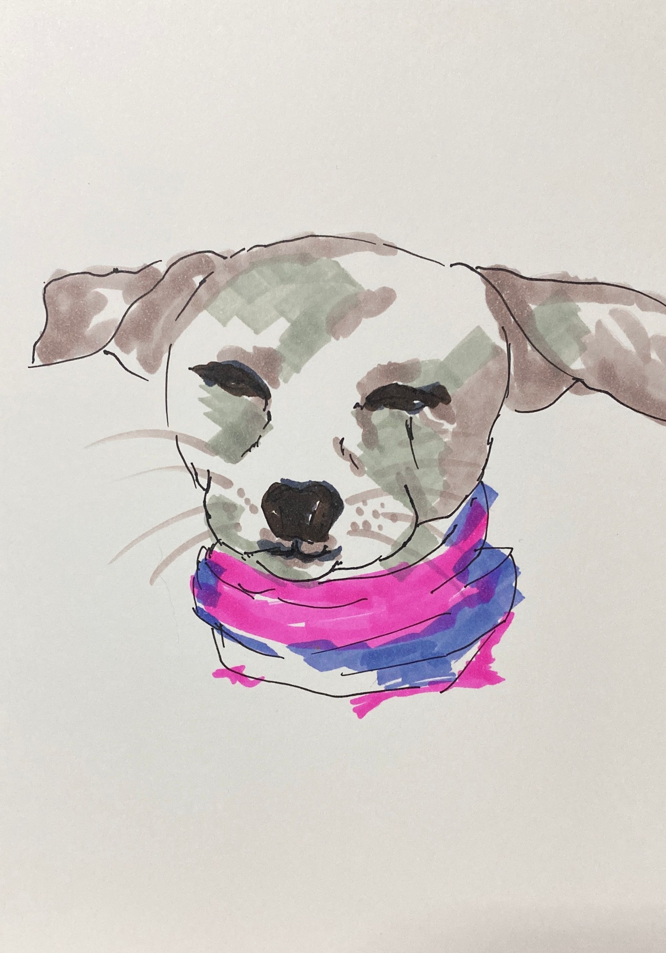 ジャック・ラッセル・テリア　イラスト風-1