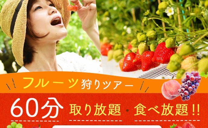 フルーツ狩り　バナー