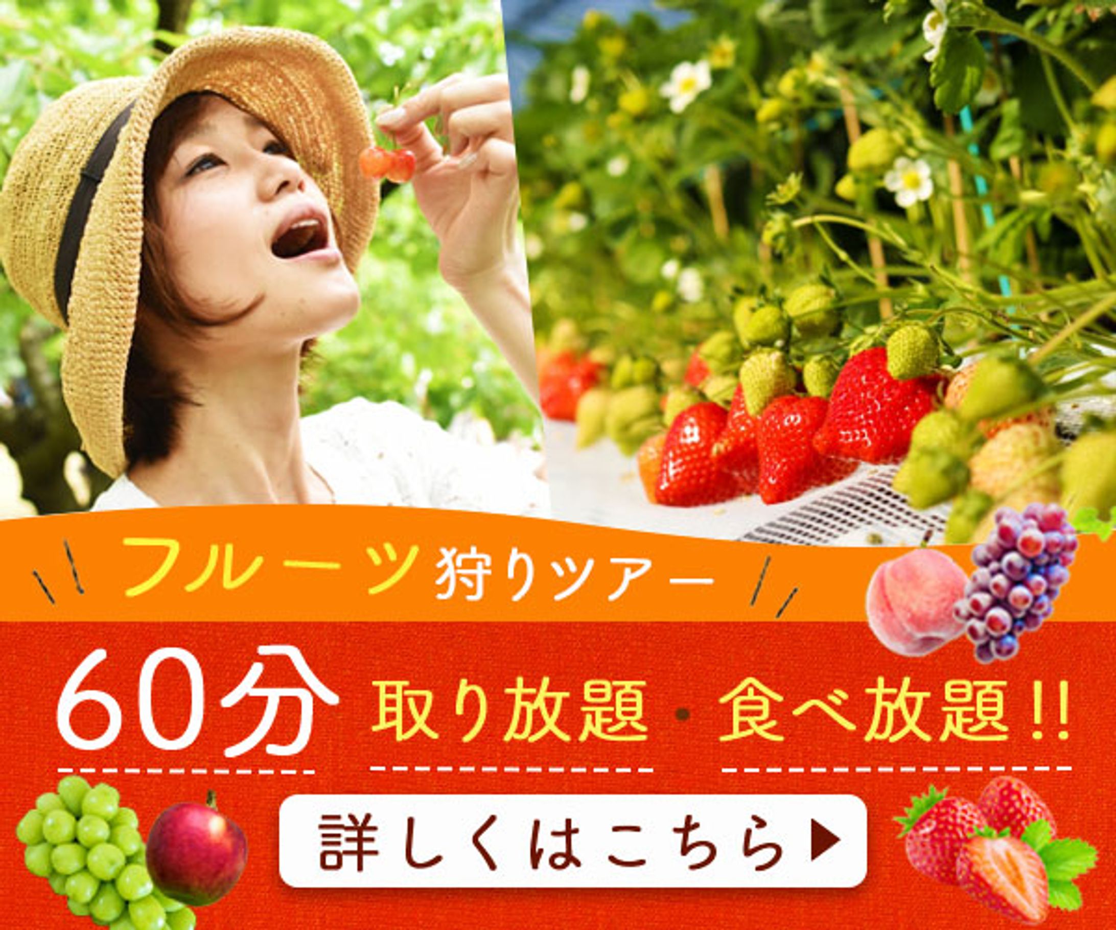 フルーツ狩り　バナー-1