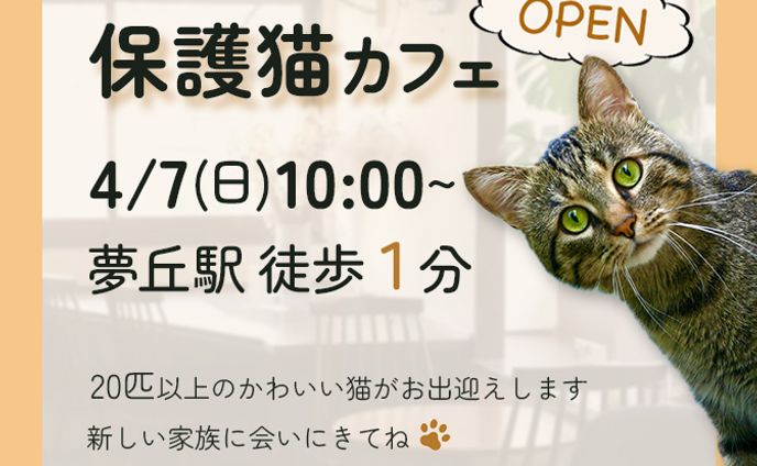 保護猫カフェイベント告知