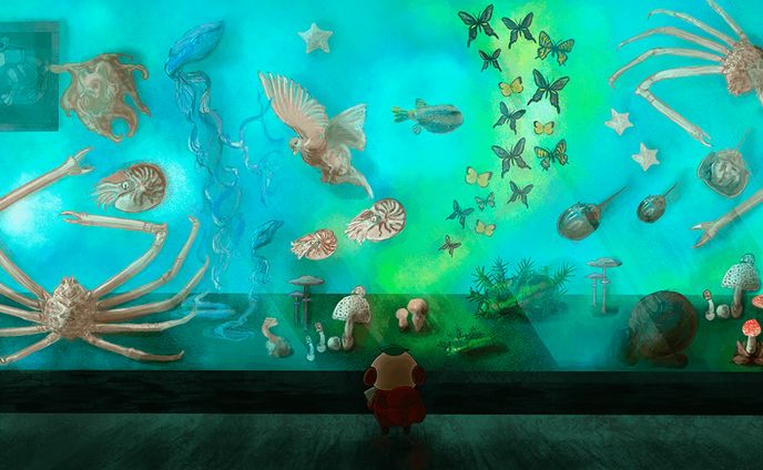 海の中の展示室