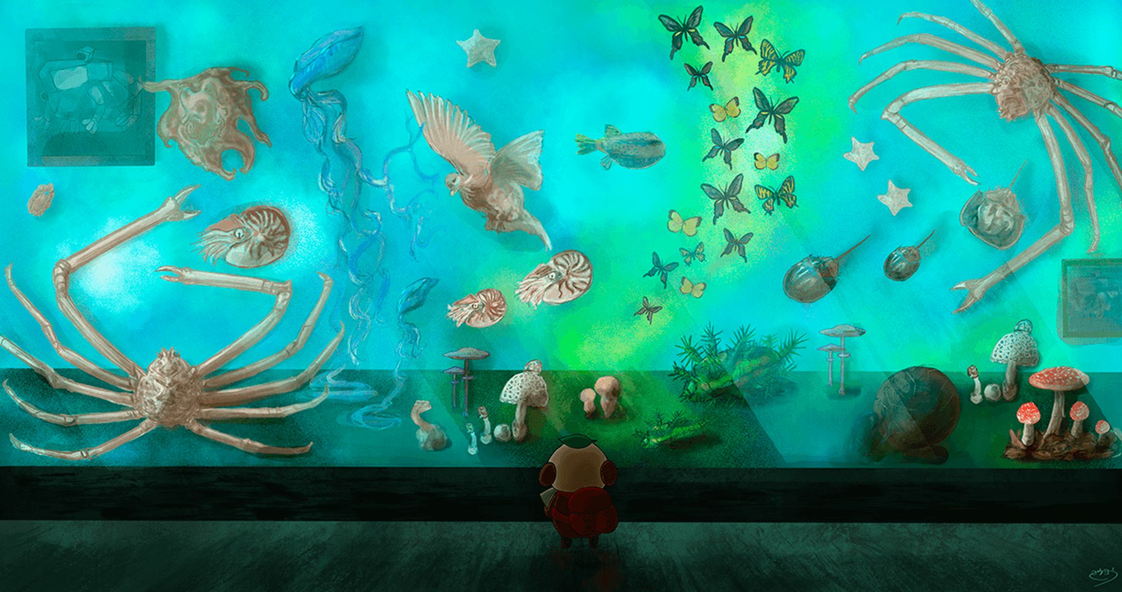 海の中の展示室-1