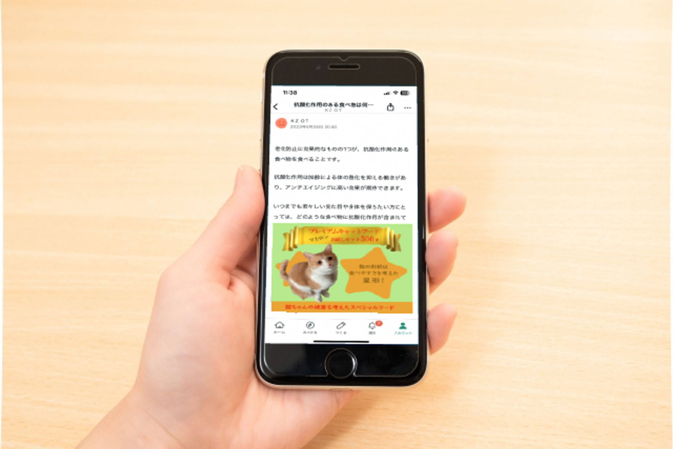 キャットフードお試しバナー-1