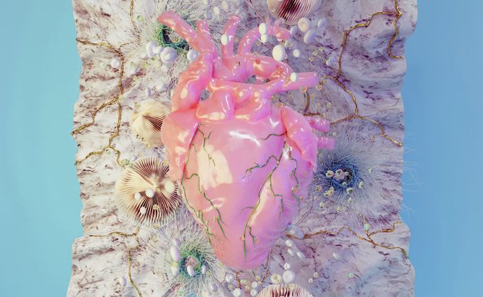 オリジナル作品　心臓