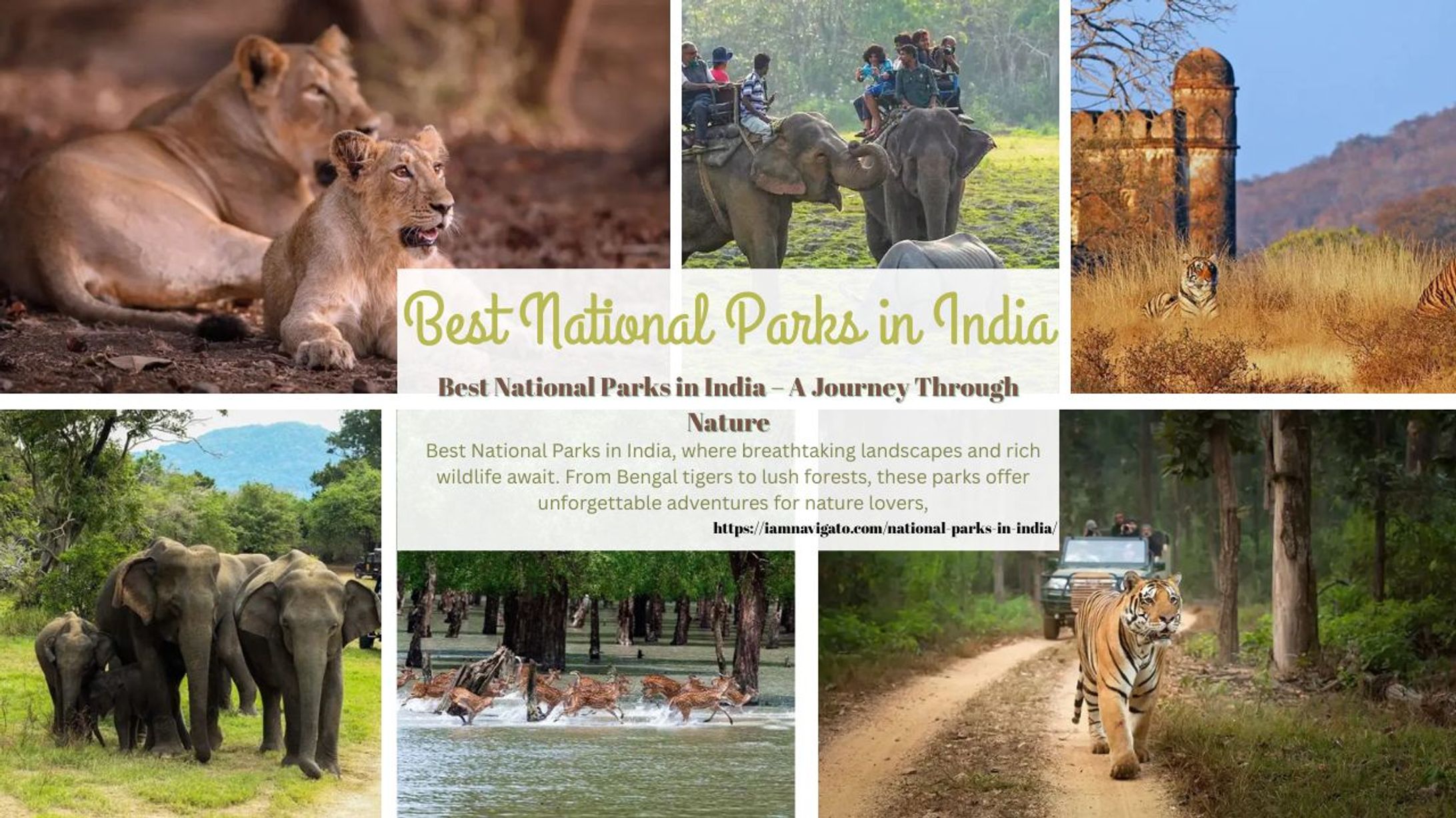Best National Parks in India-1