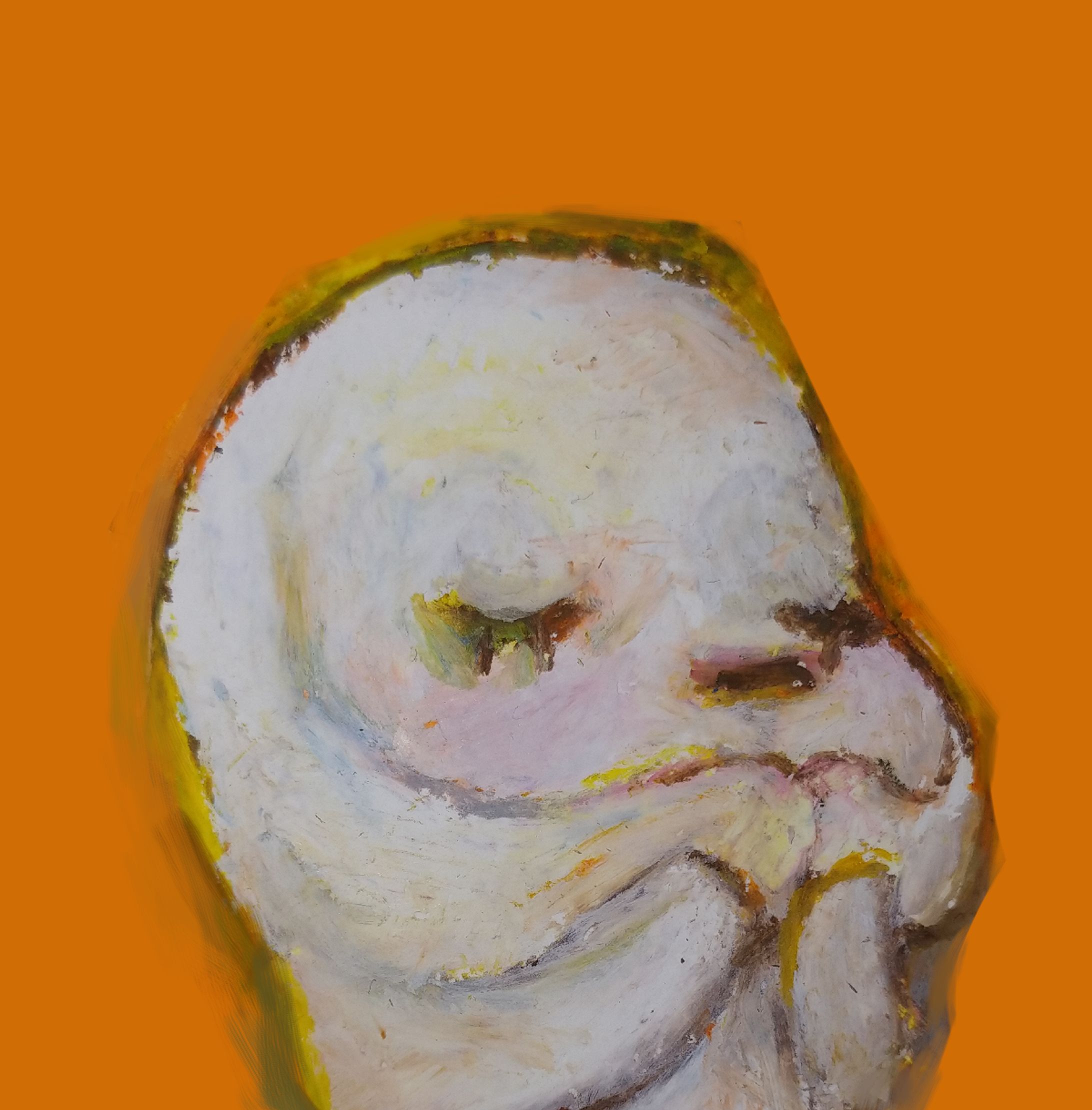 生き物-1