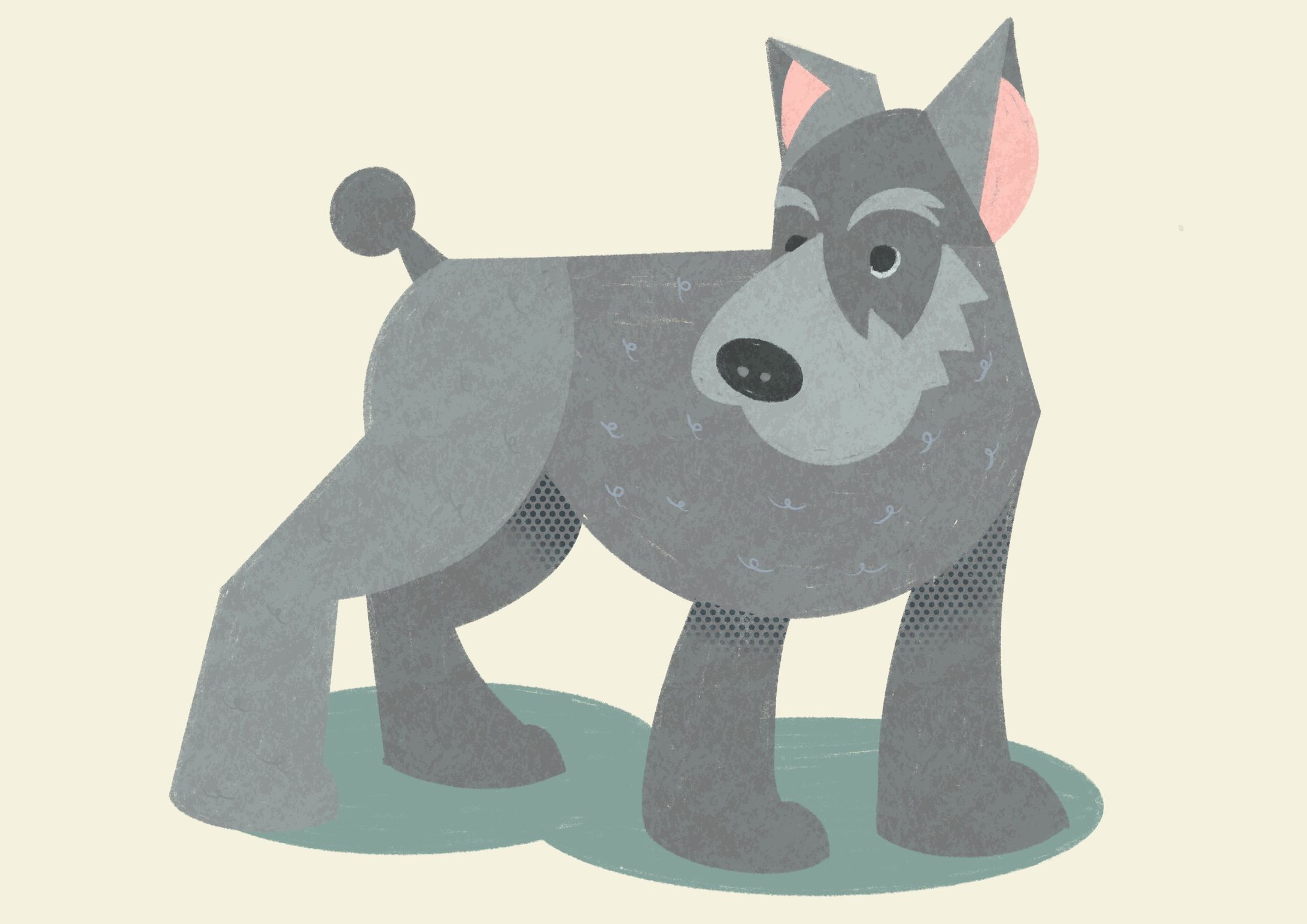 シュナウザー-1