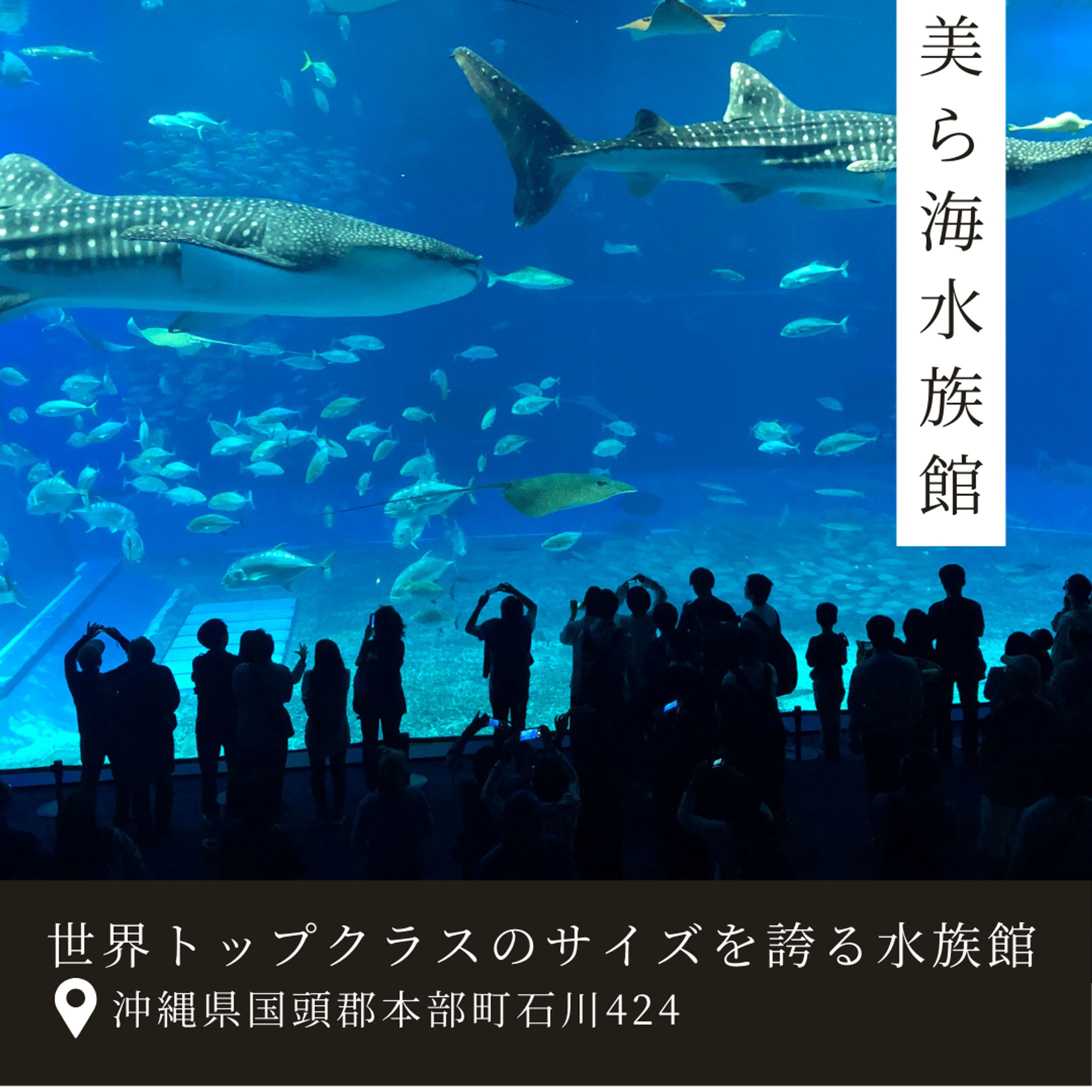 旅行系Instagram投稿-1