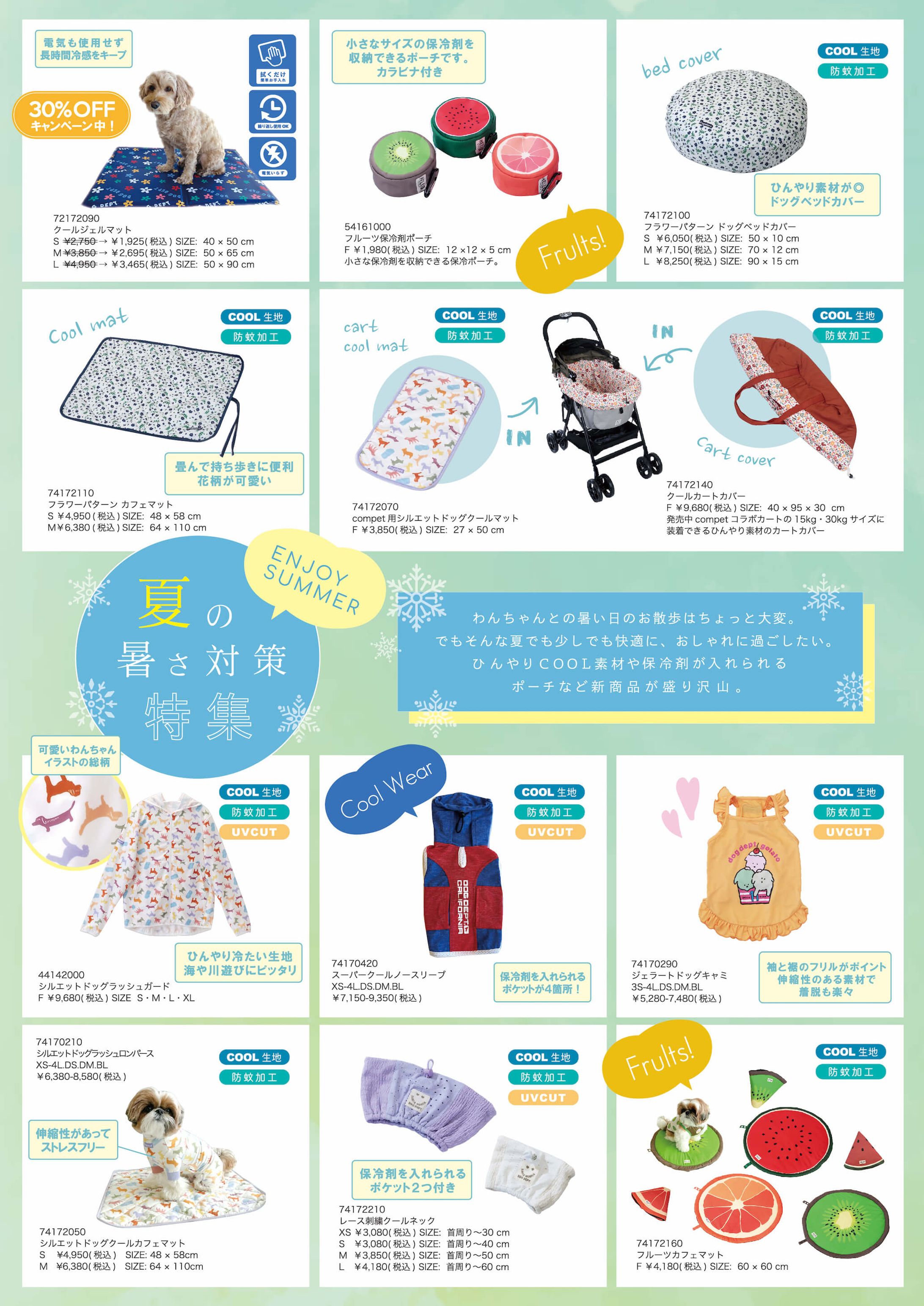 FLYER-1