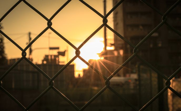 夕方の散歩