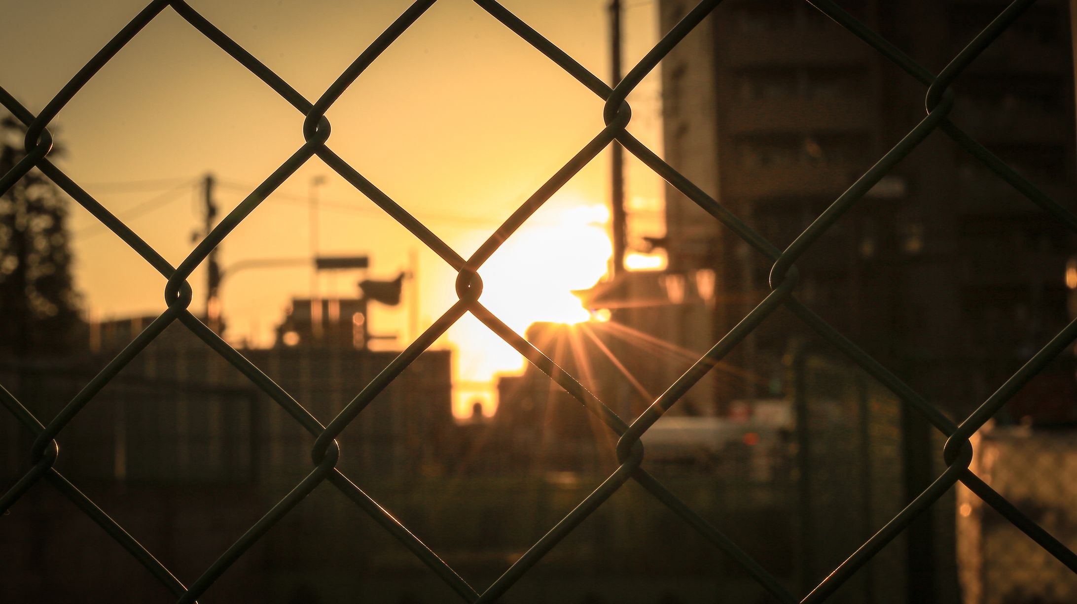 夕方の散歩-1