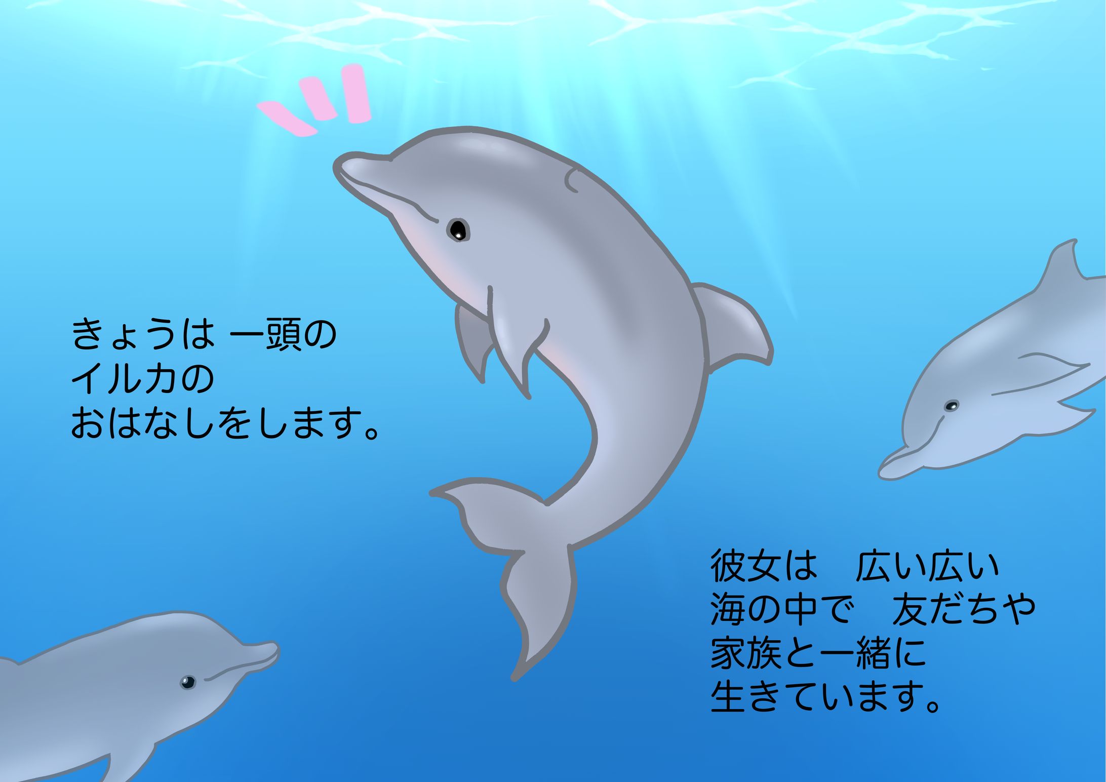 イルカの絵本ラフ-1