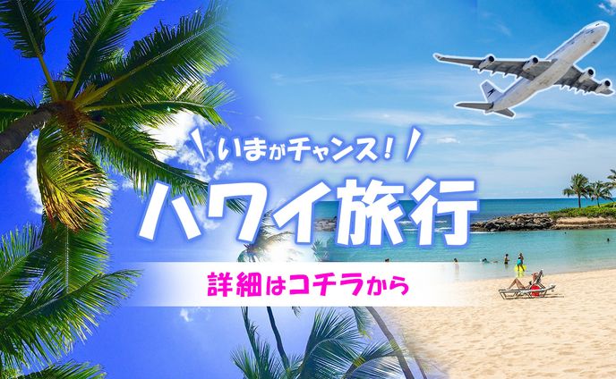 ハワイ旅行　チラシ