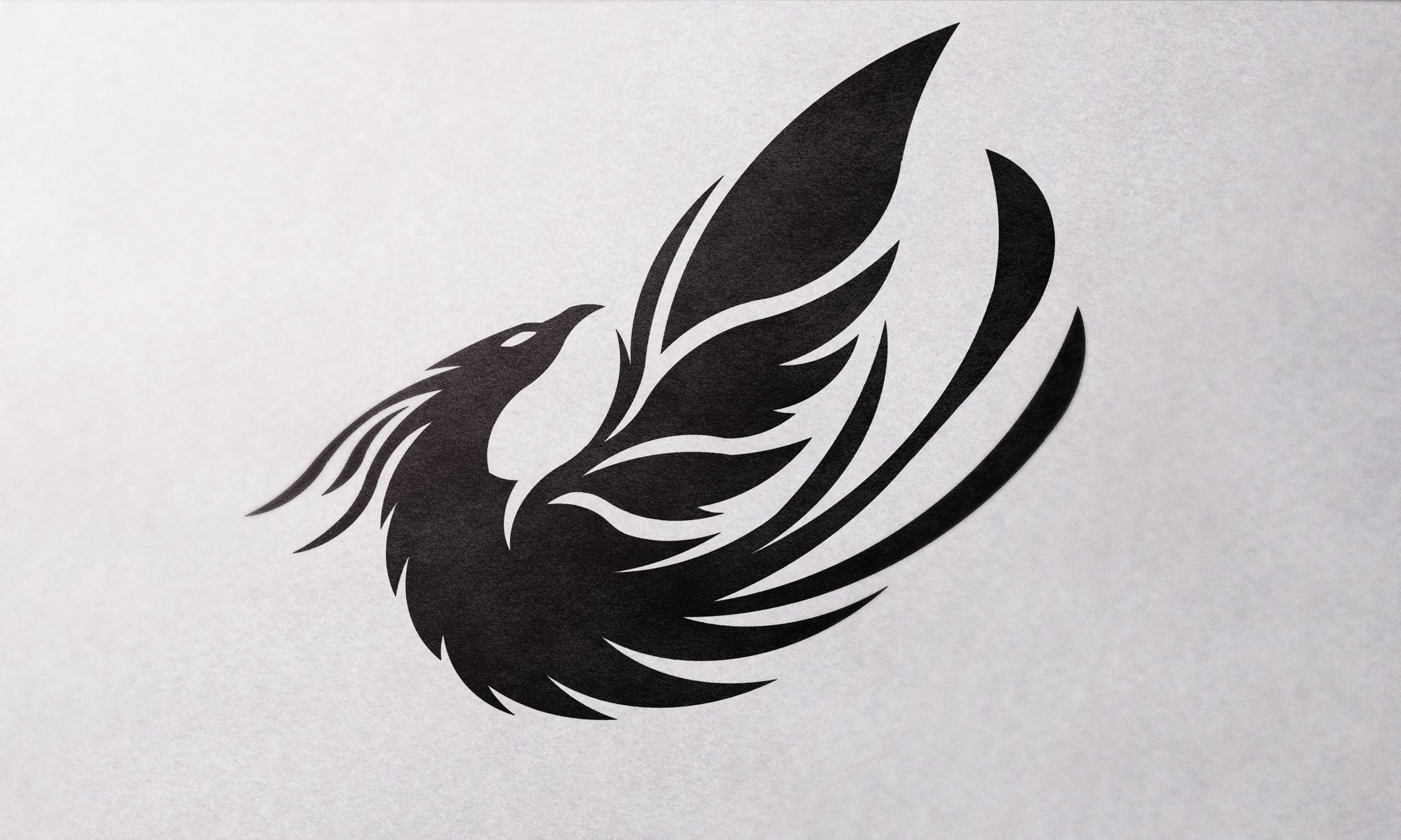 Concept Logo -不死鳥--1