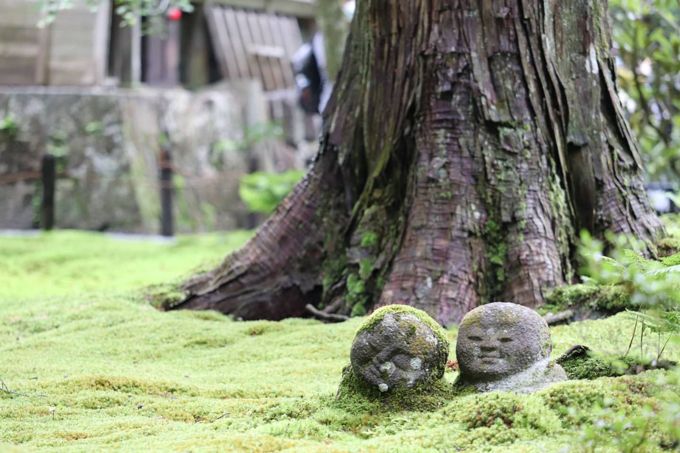 風景写真例-1