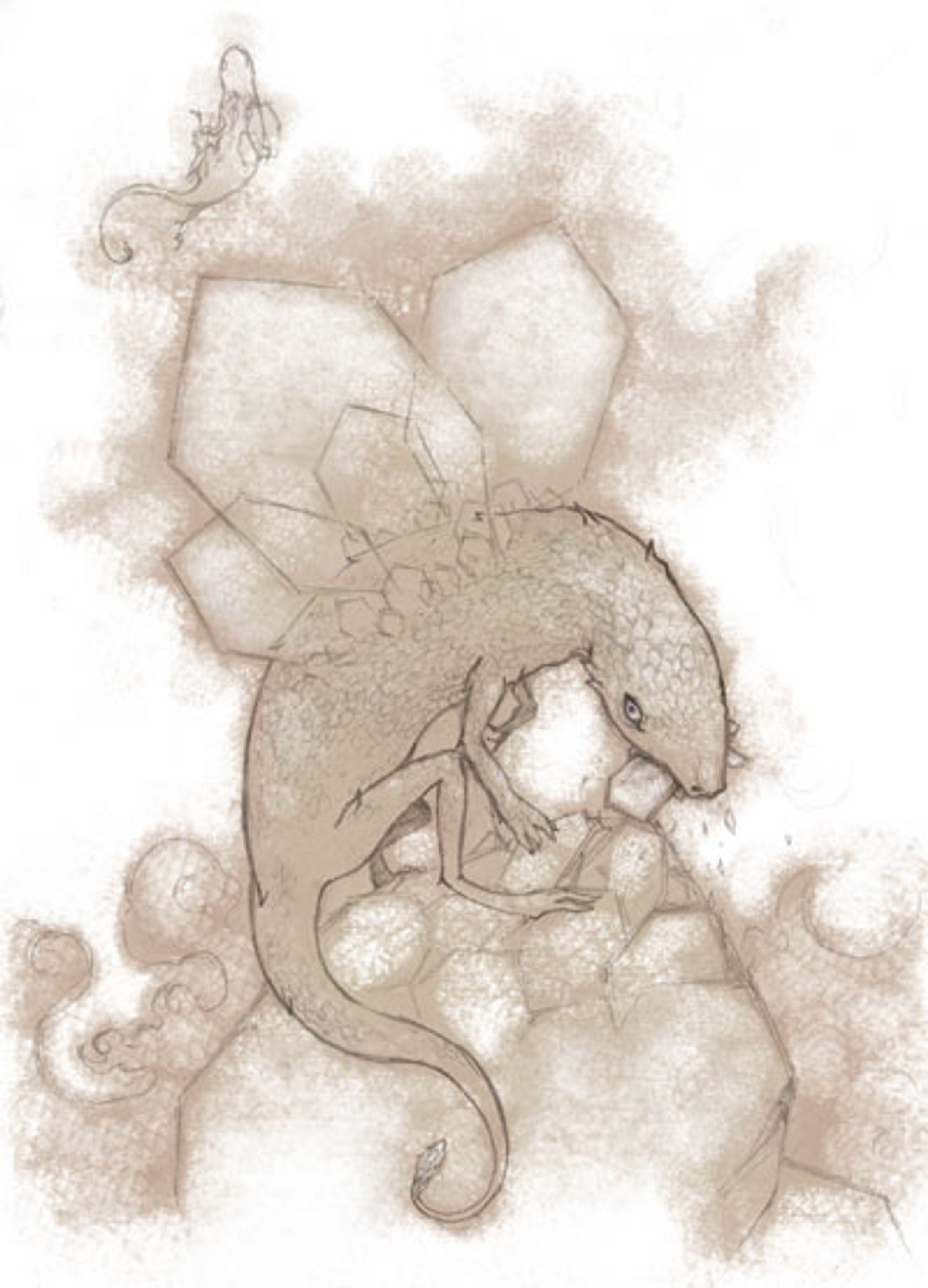 鉱石生物-1