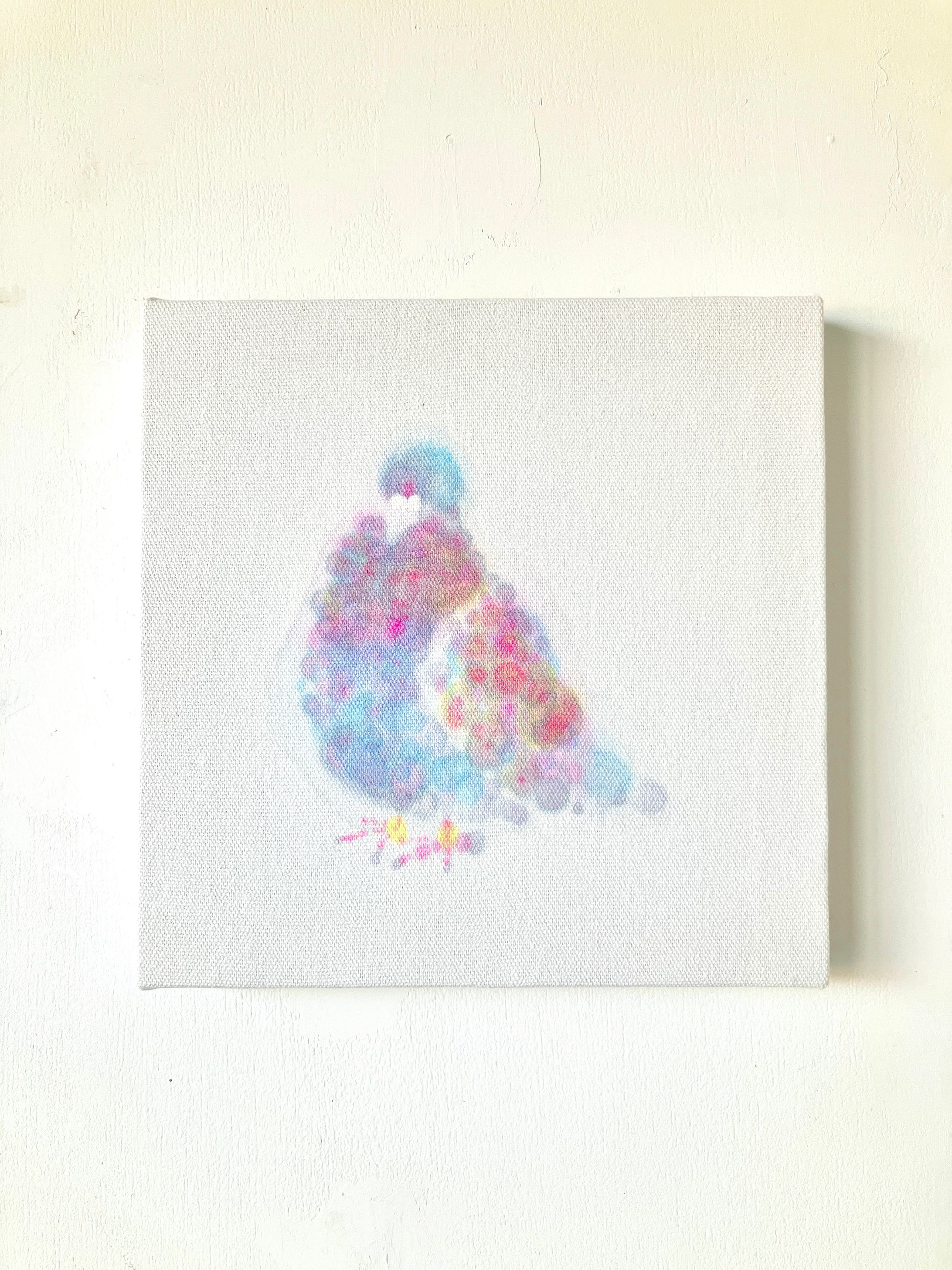 2025｜ハトがいっぱいコレクション-1