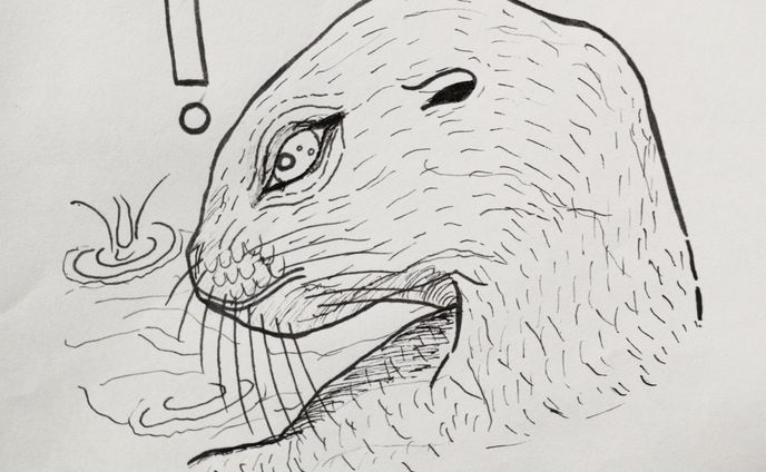 音楽、絵画