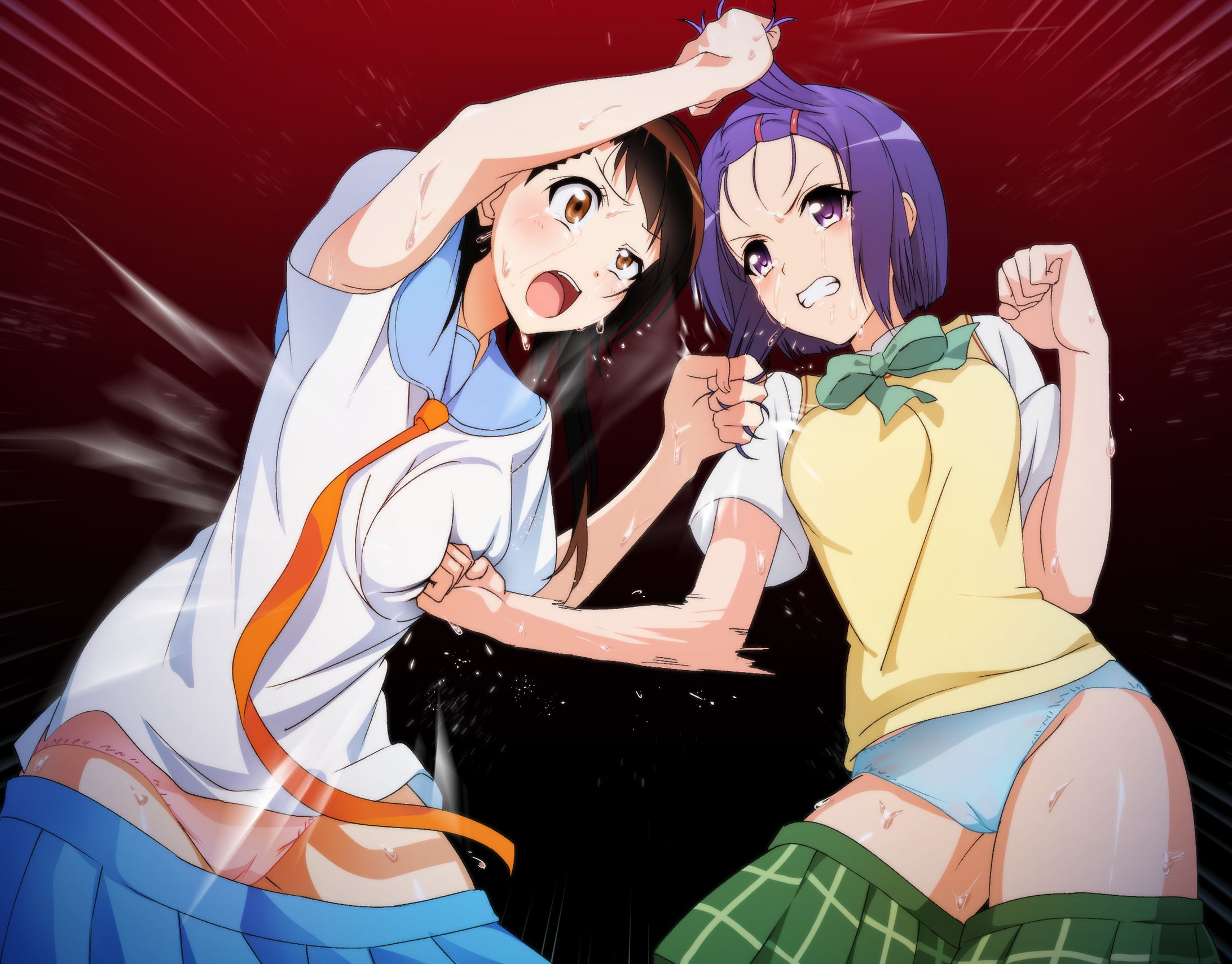 ニセコイToloveるクロスオーバーキャットファイト-1