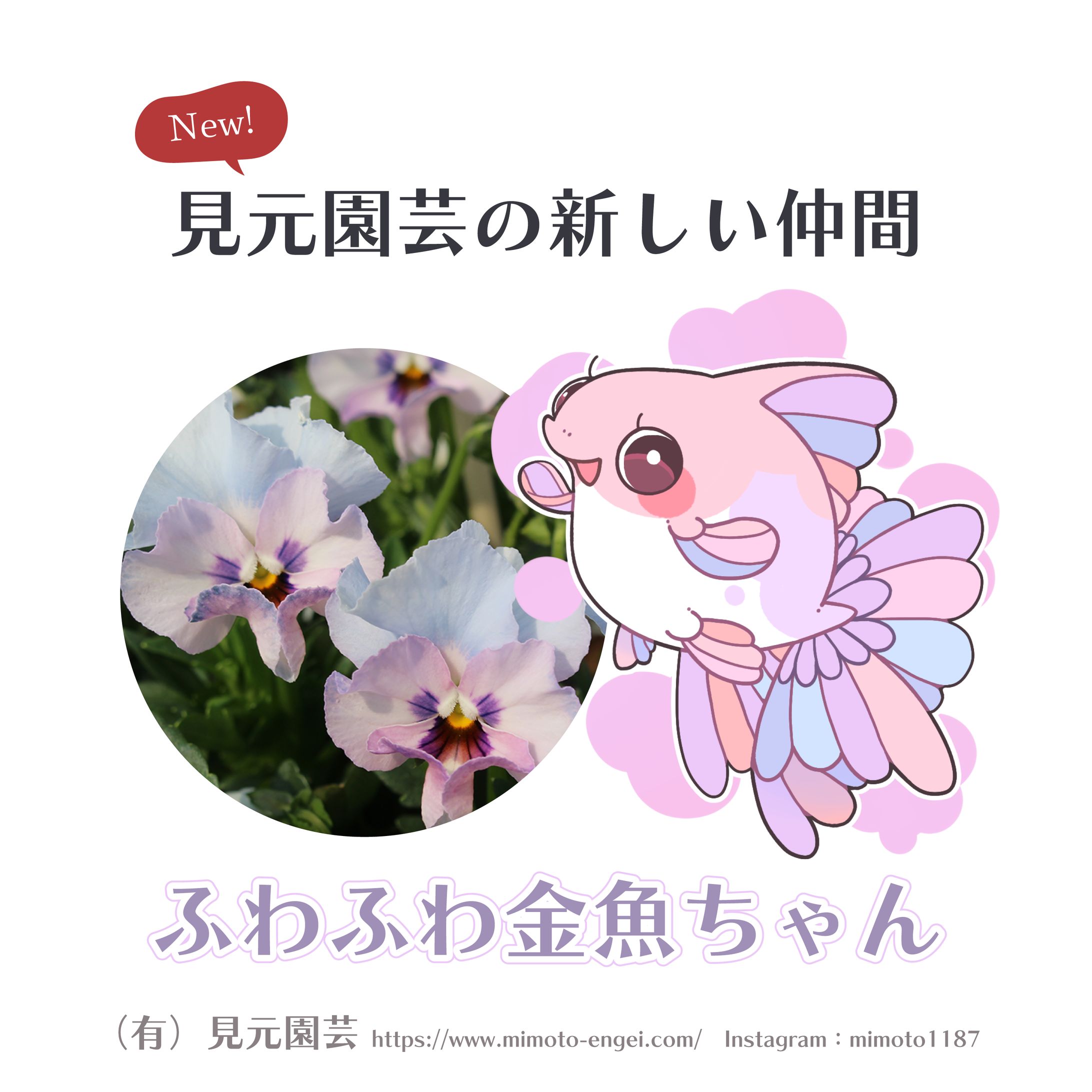 2023（有）見元園芸ラベルイラスト-1