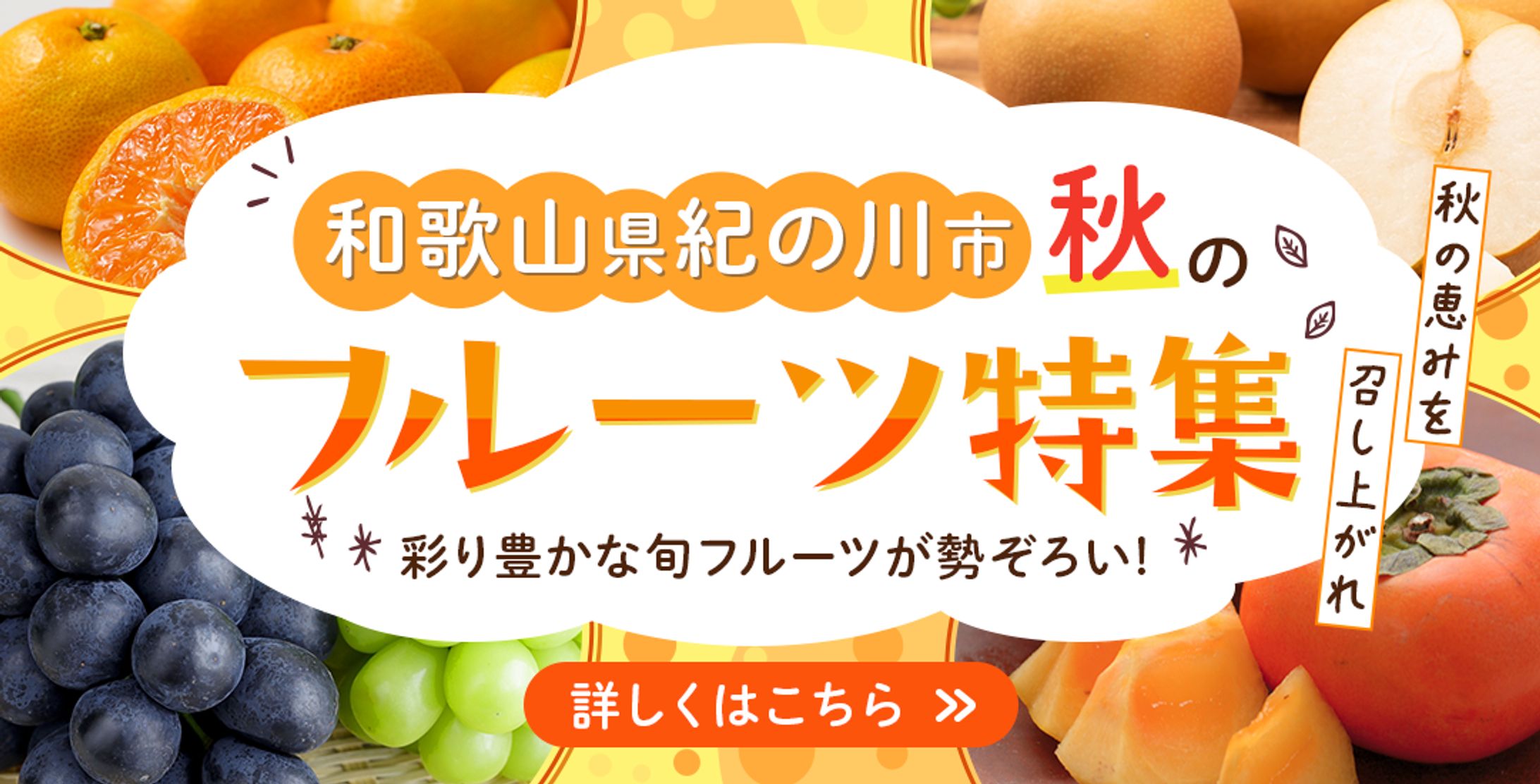 和歌山県紀の川市「秋のフルーツ特集」販促バナー-1