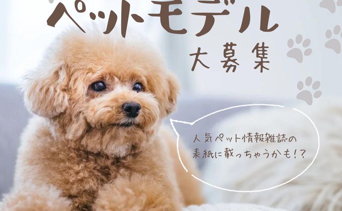 ペットモデル募集バナー