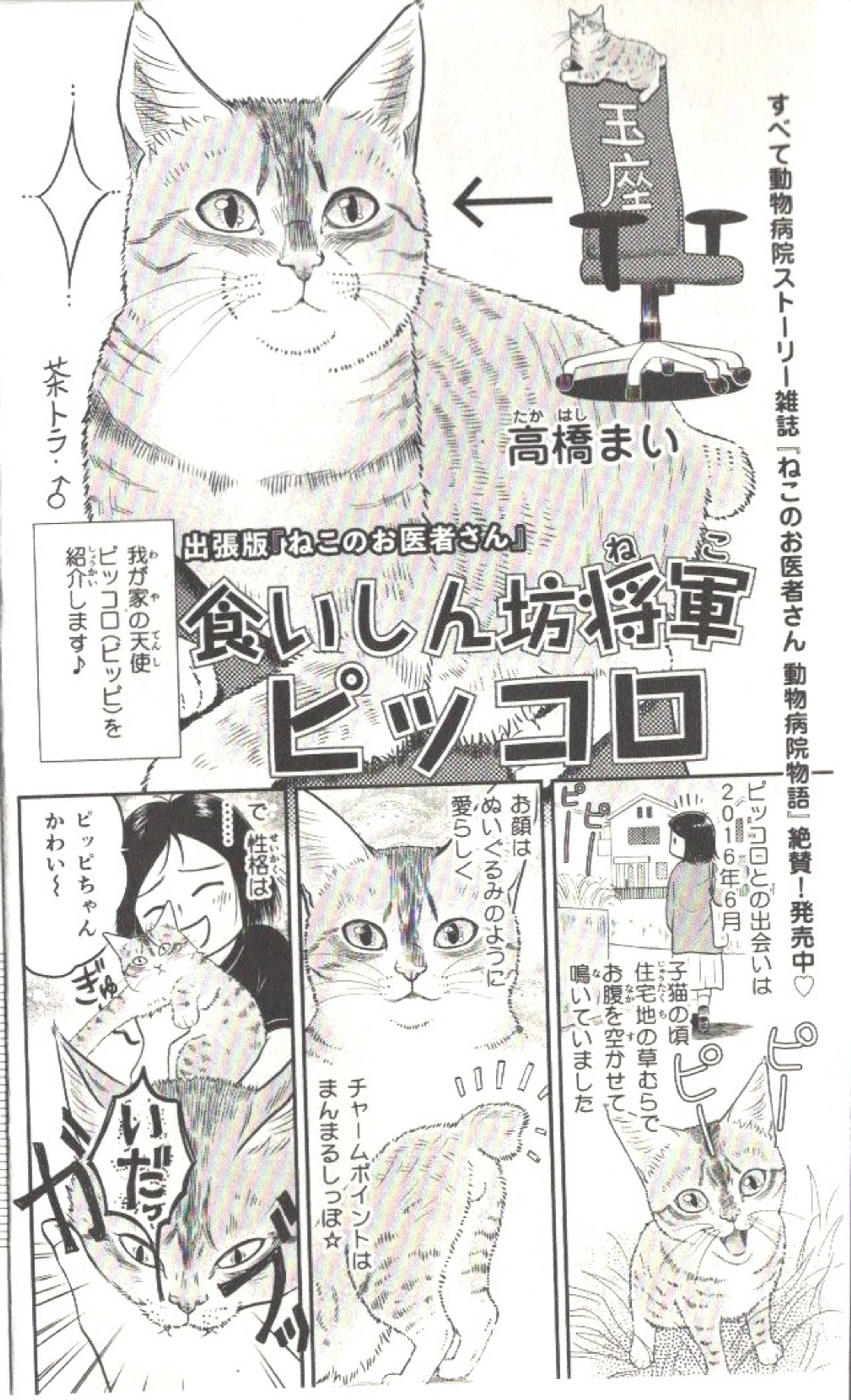 【商業猫漫画】①-1