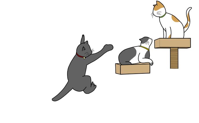 猫