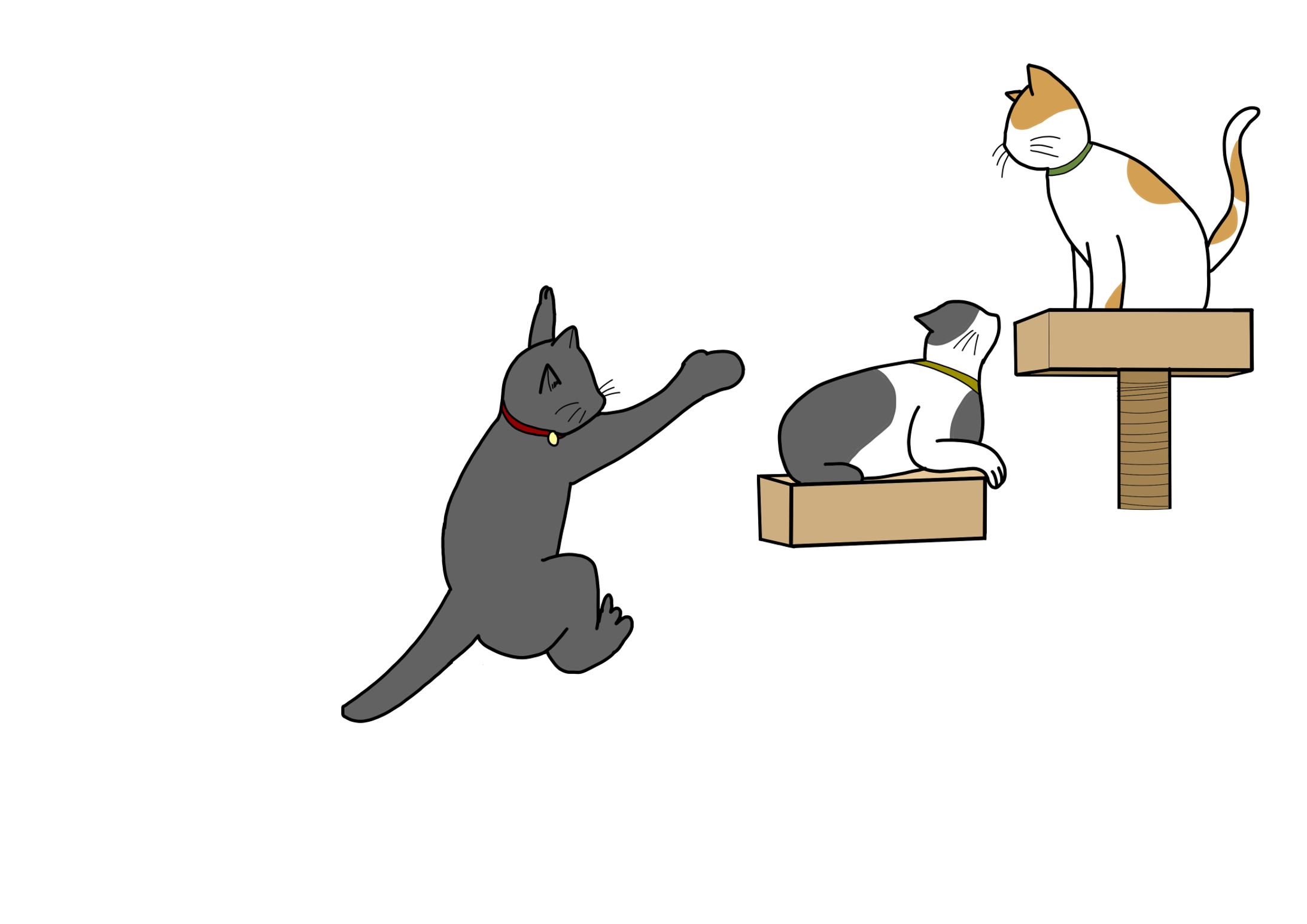 猫-1