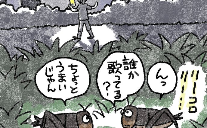20241017インストのコオロギ