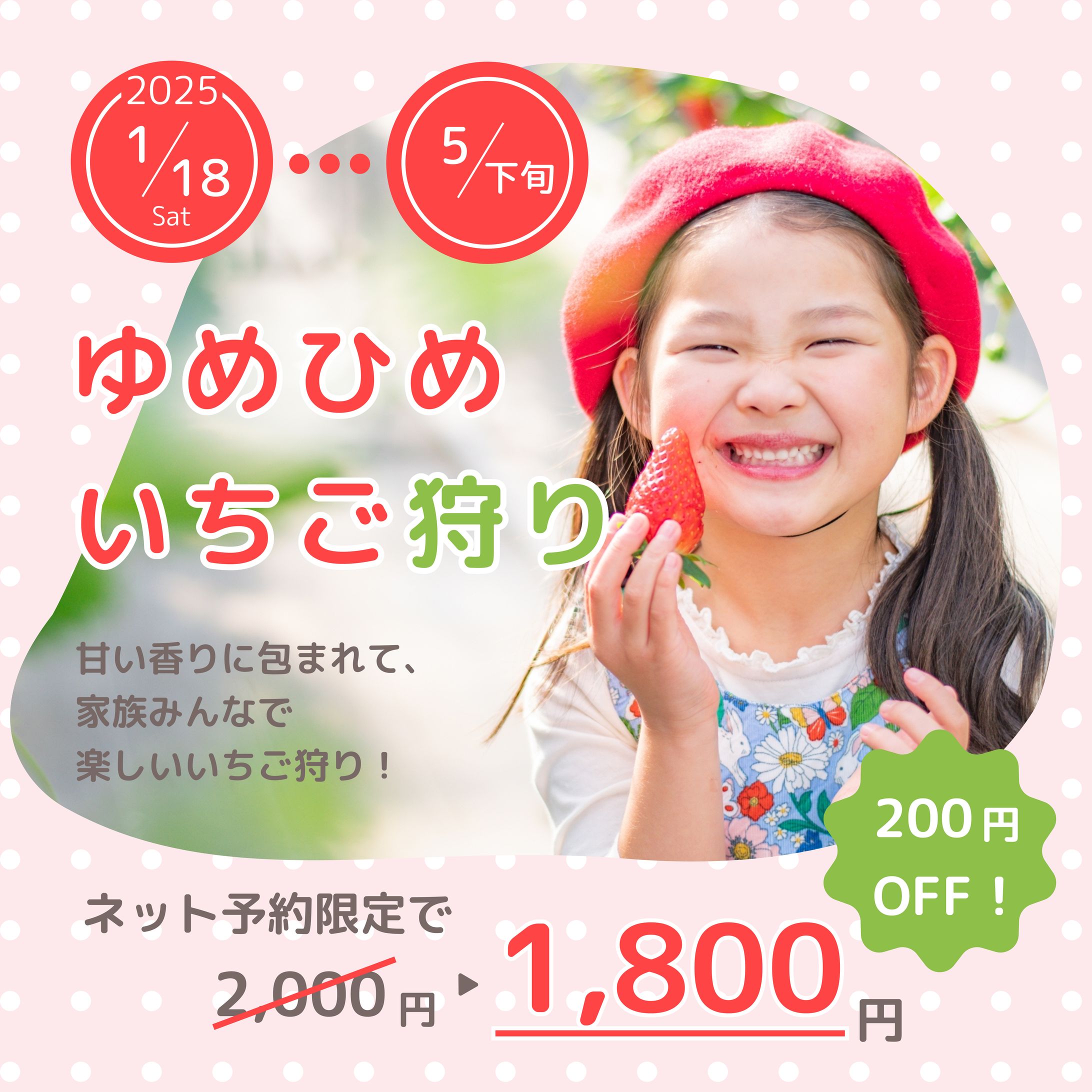 ゆめひめいちご狩り　インスタ広告バナー（架空デザイン）-1