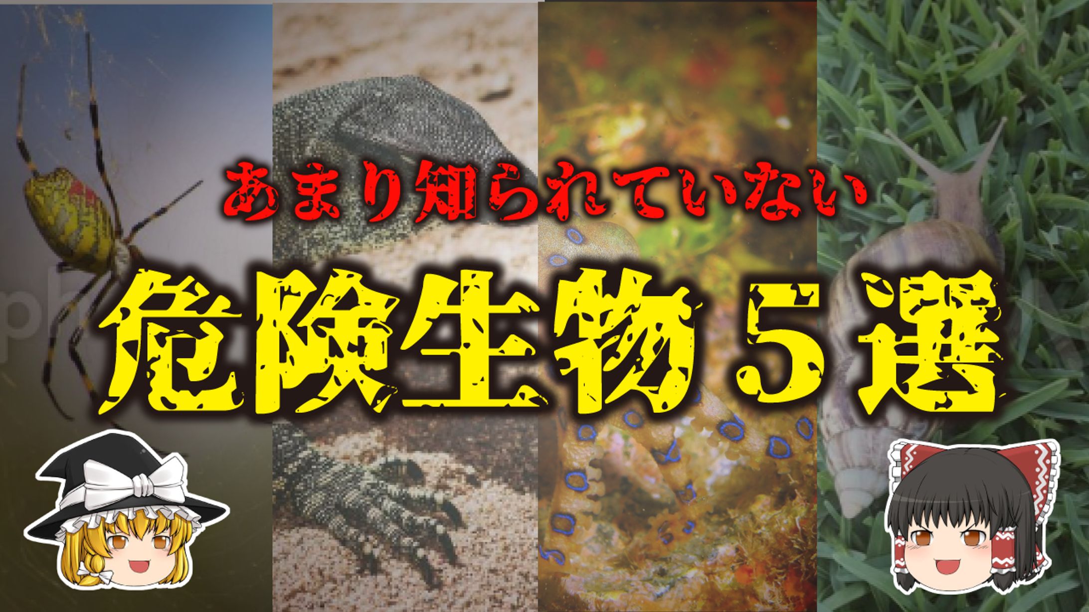 YouTube用サムネイル05-1