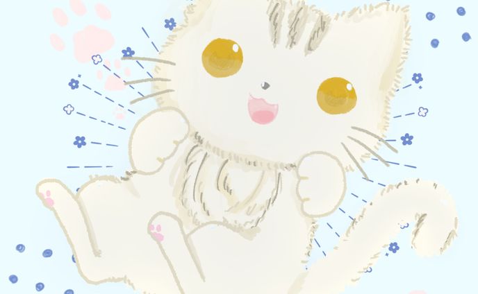 猫