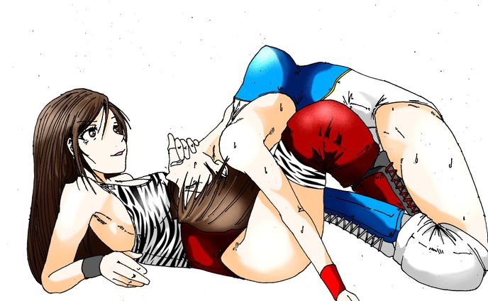 女子プロレスの技絵寄せ集め