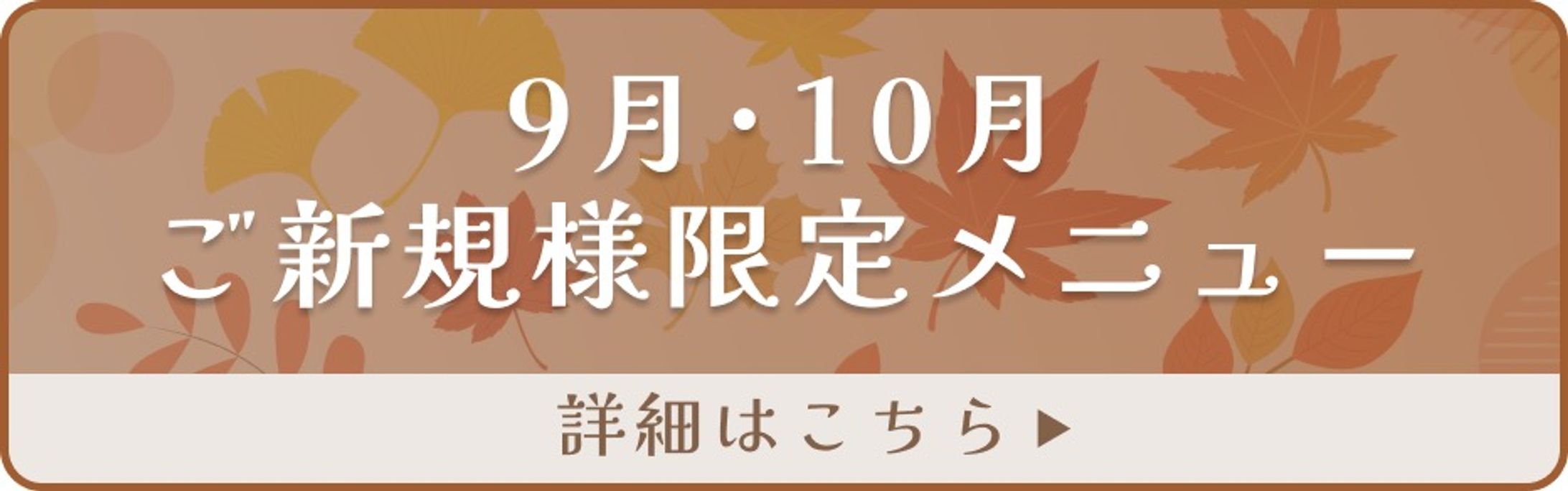 【サイトバナー】限定メニューのバナー-1