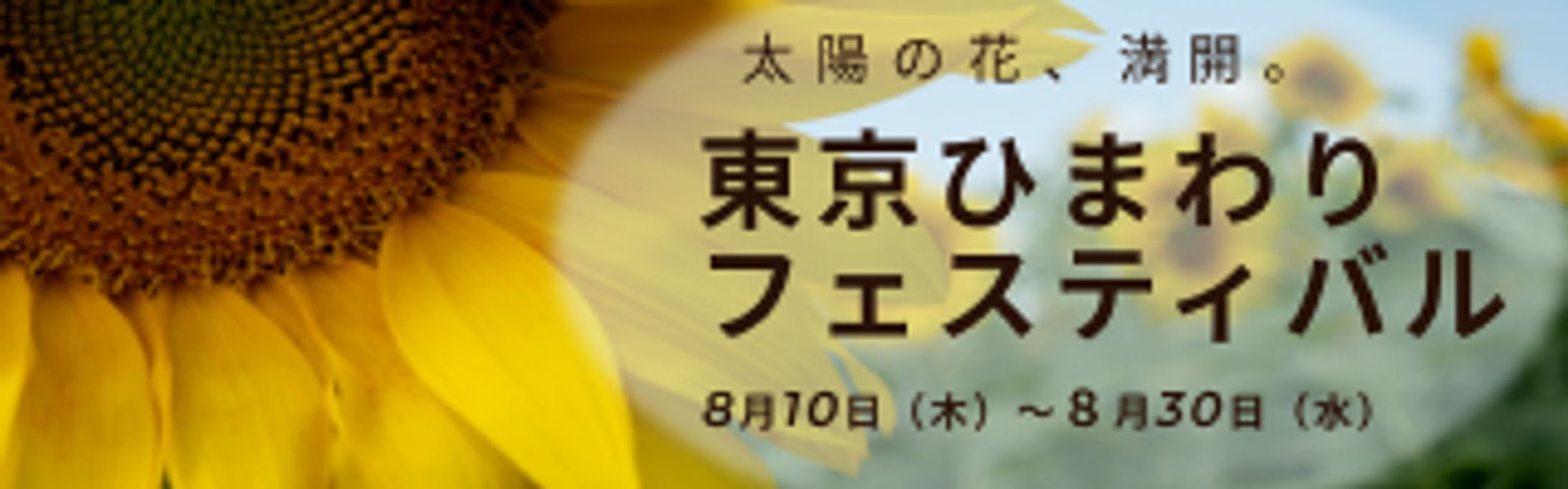 バナー　-1