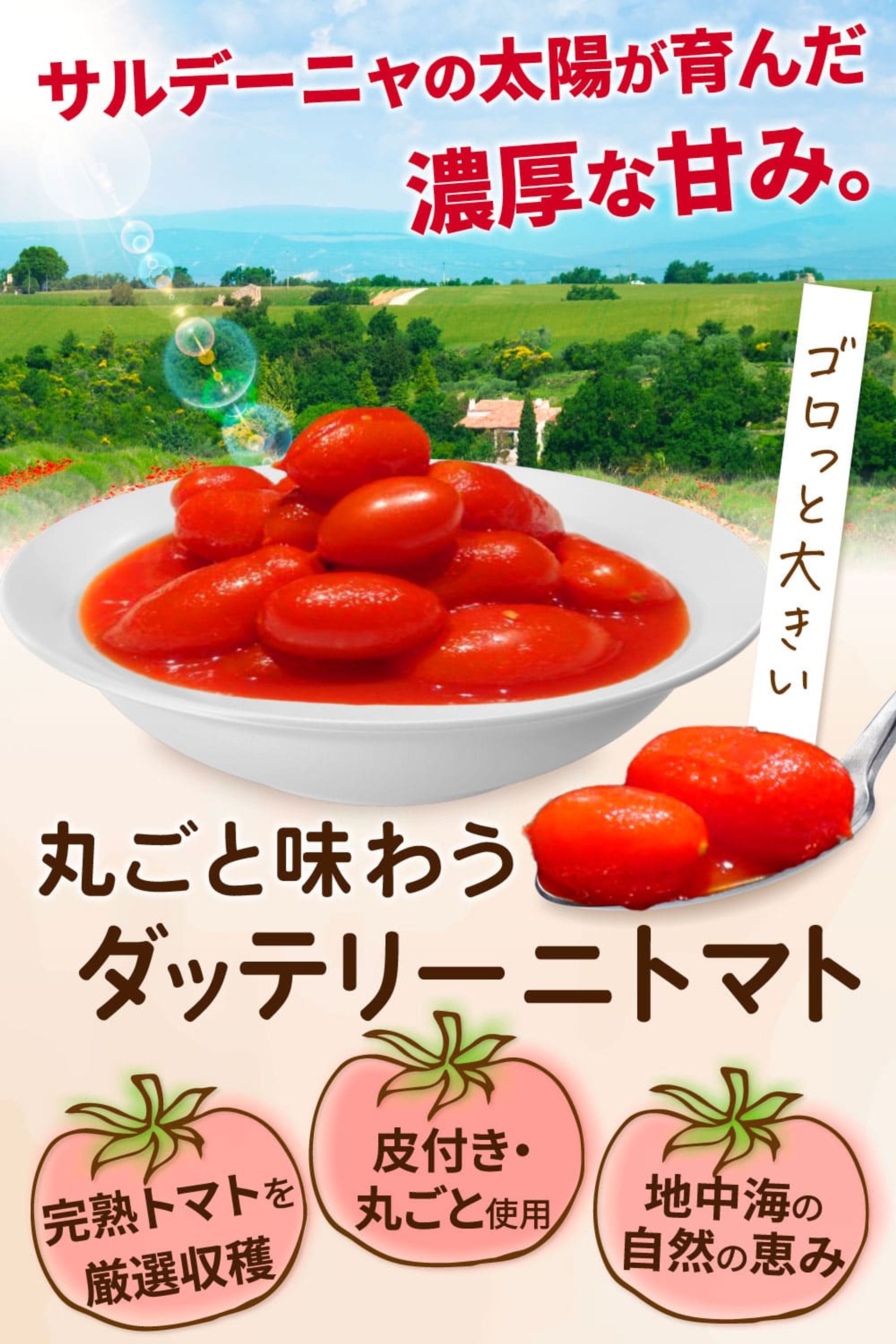 ダッテリーニ　トマト缶の商品画像-1