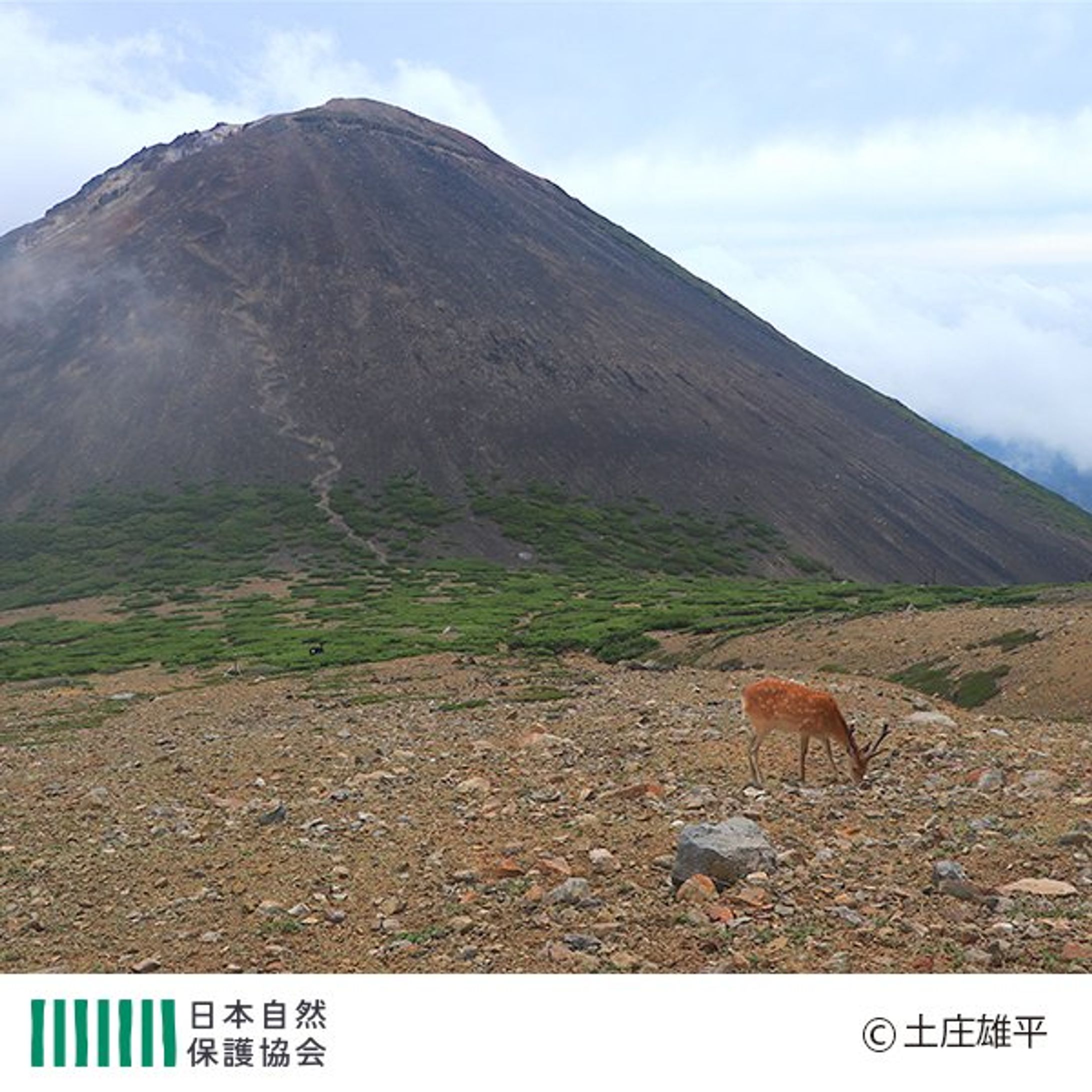 【写真】北海道雌阿寒岳〜日本自然保護協会さんのSNSでご紹介〜-1