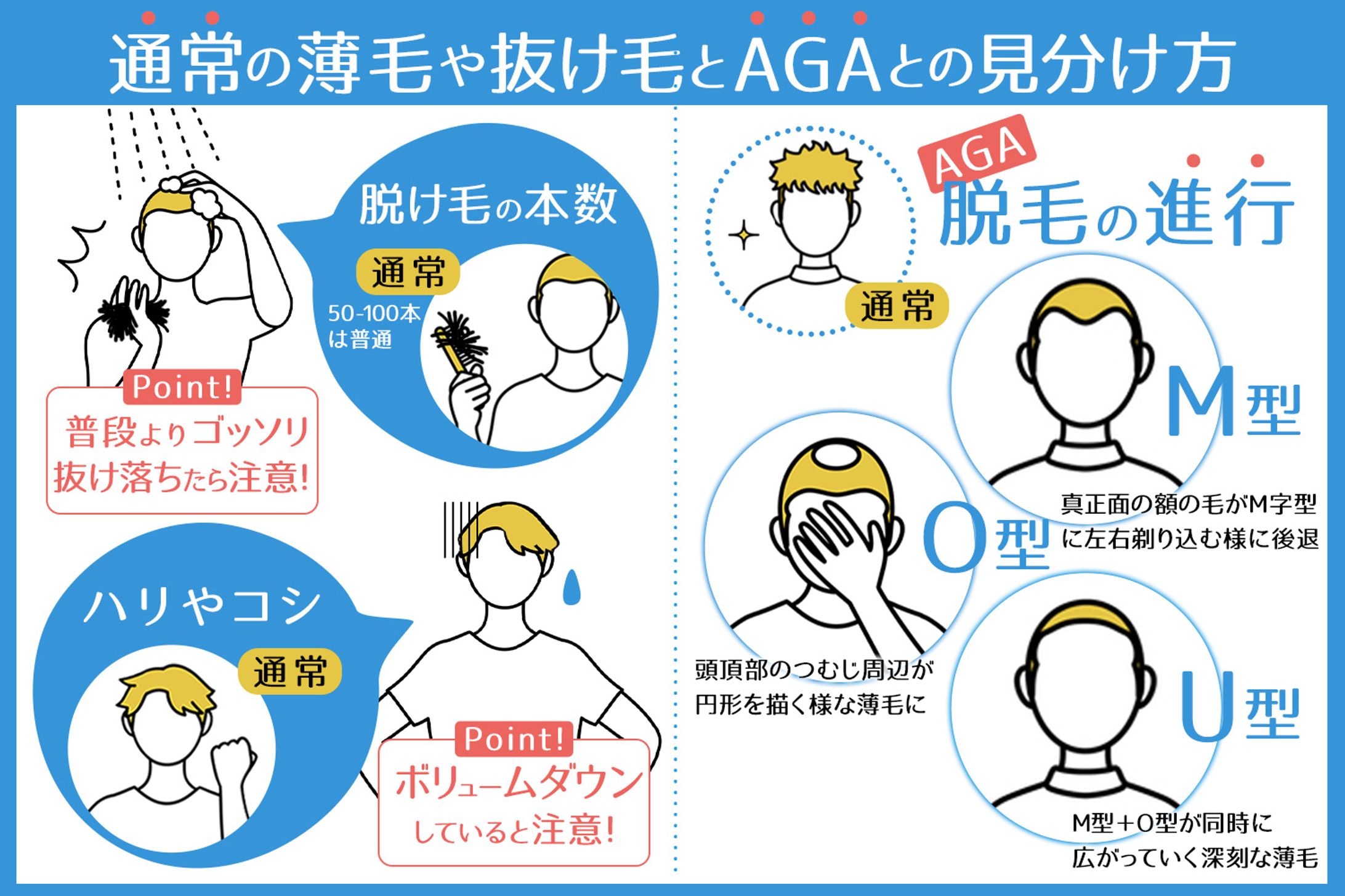 美容医療系・実務制作（インフォグラフィック/AGA）-1