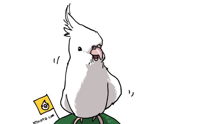 オカメインコイラスト