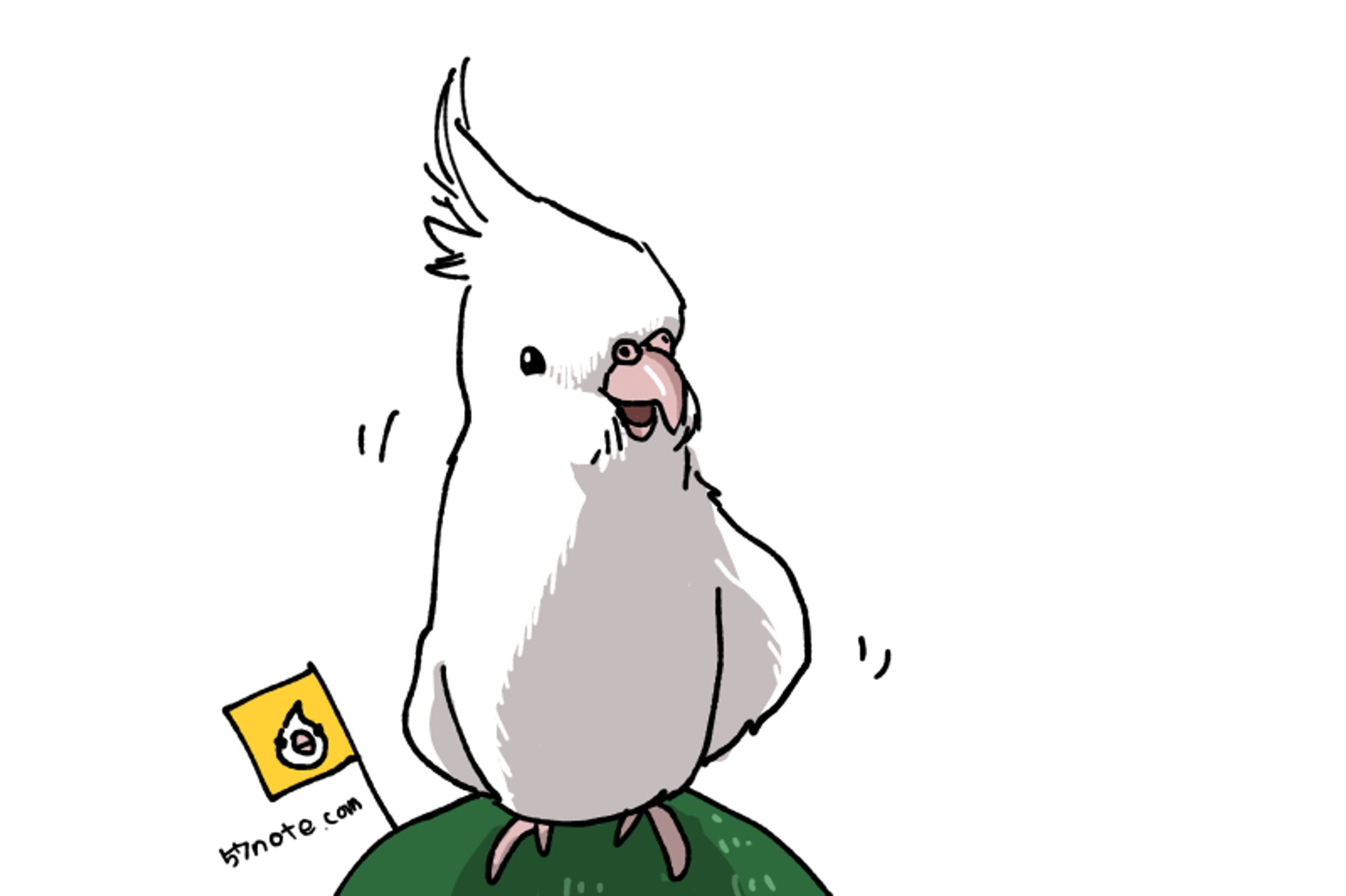 オカメインコイラスト-1